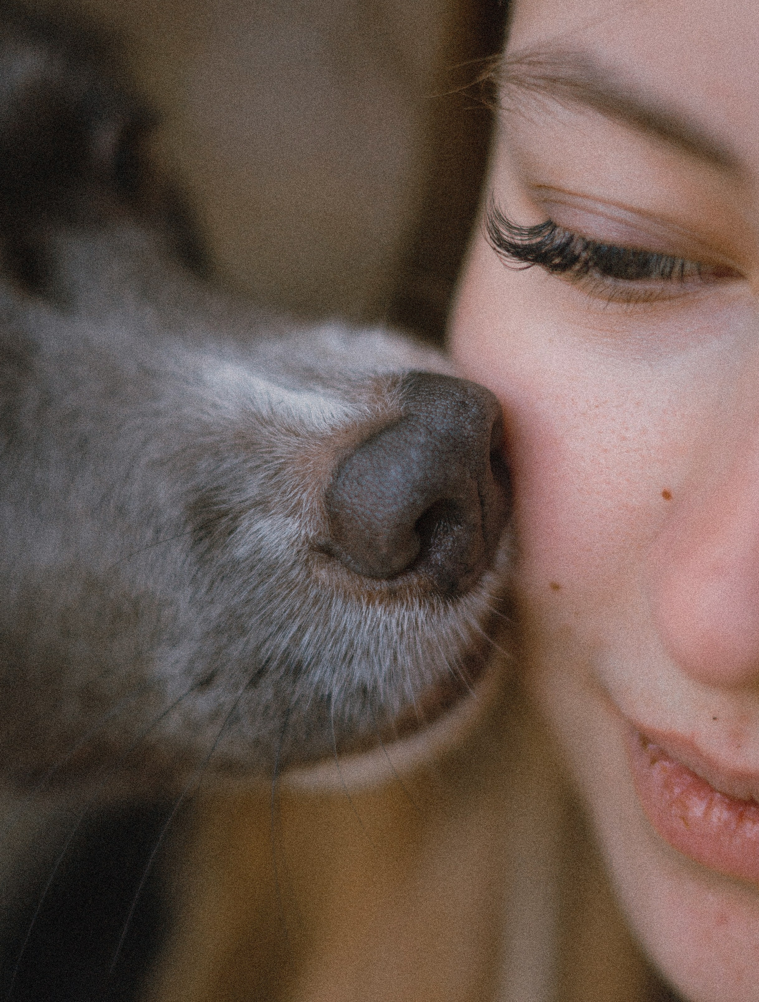 Даша и Дже. Фотограф-анималист Богданова Полина