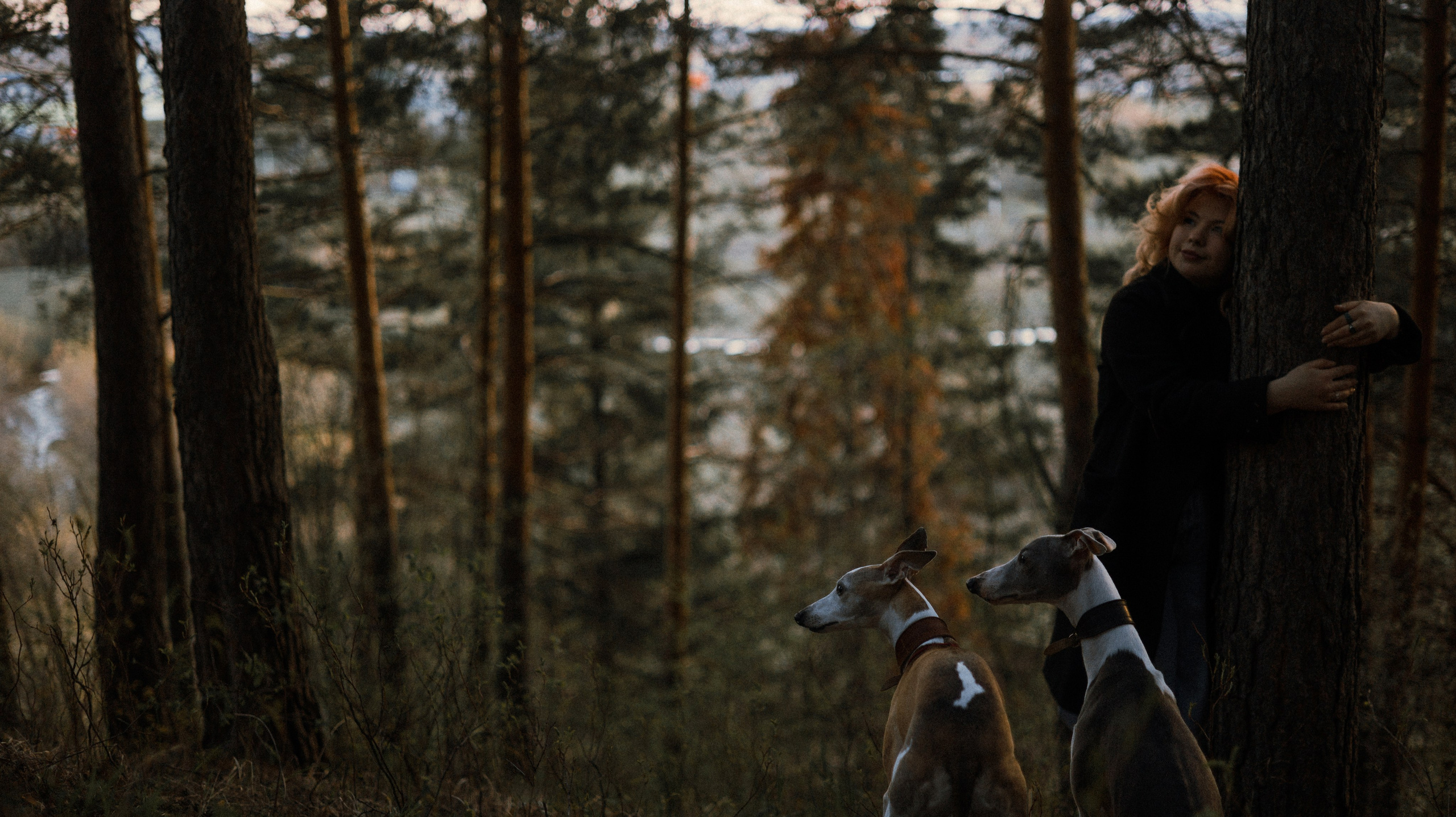 Вика, Джем и Белла. Фотограф-анималист Богданова Полина