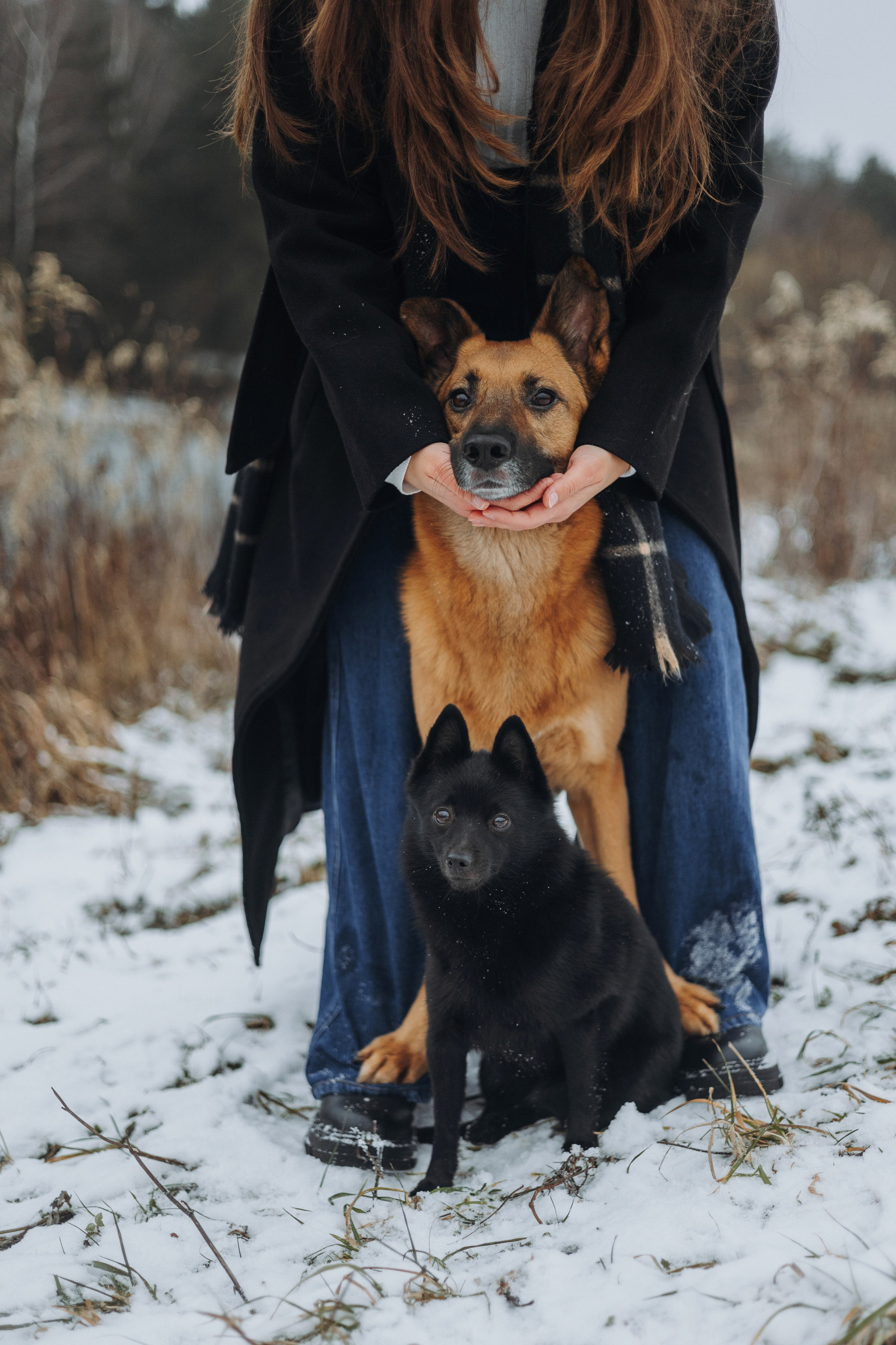 Юля, Лара и Йоми. Фотограф-анималист Богданова Полина