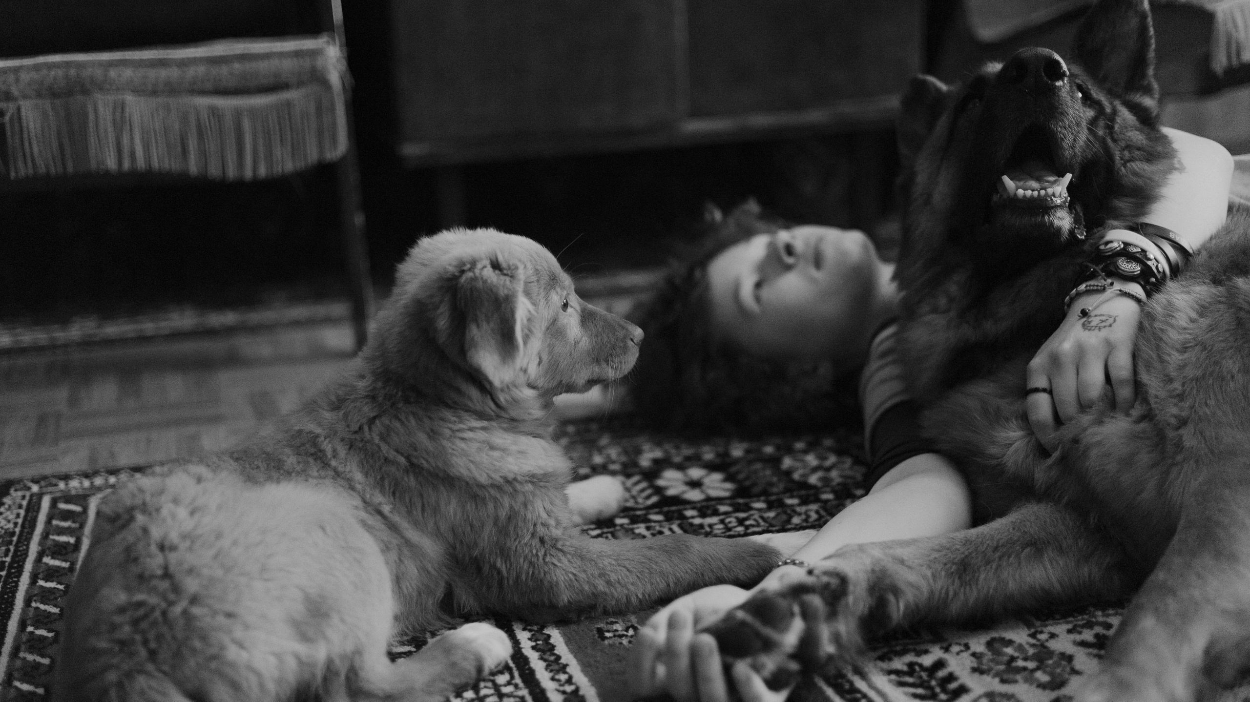 Лера, Реджи и Ральф. Фотограф-анималист Богданова Полина