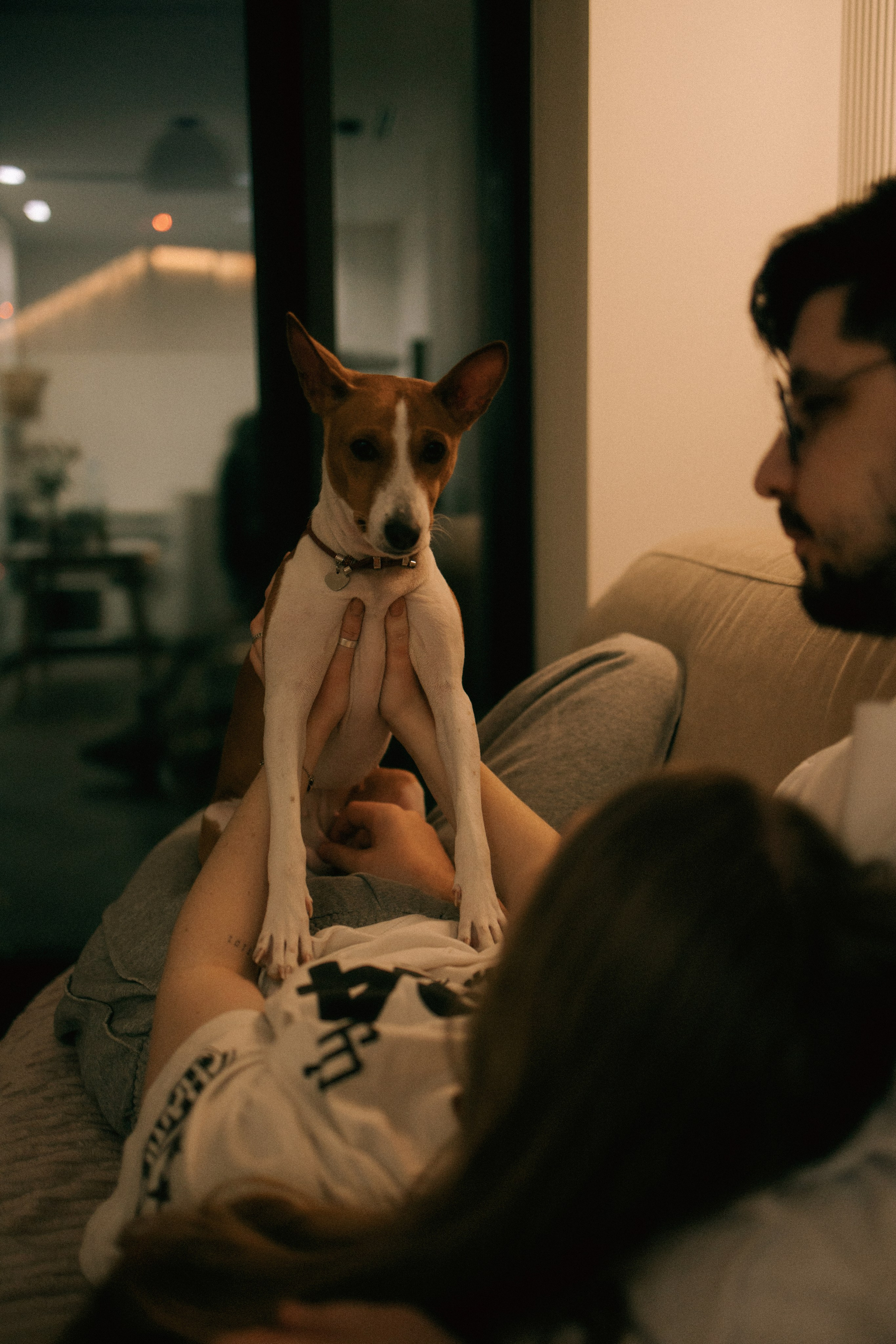 Люба, Никита и Бахати. Фотограф-анималист Богданова Полина