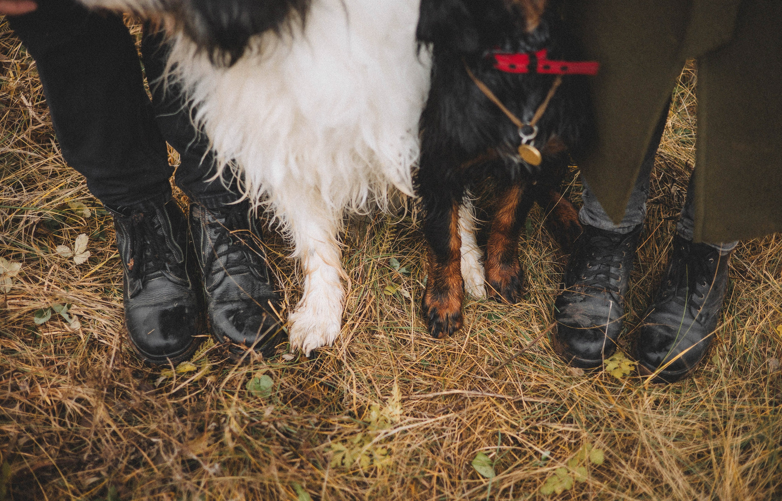 Даша, Глеб, Барс и Бруно. Фотограф-анималист Богданова Полина