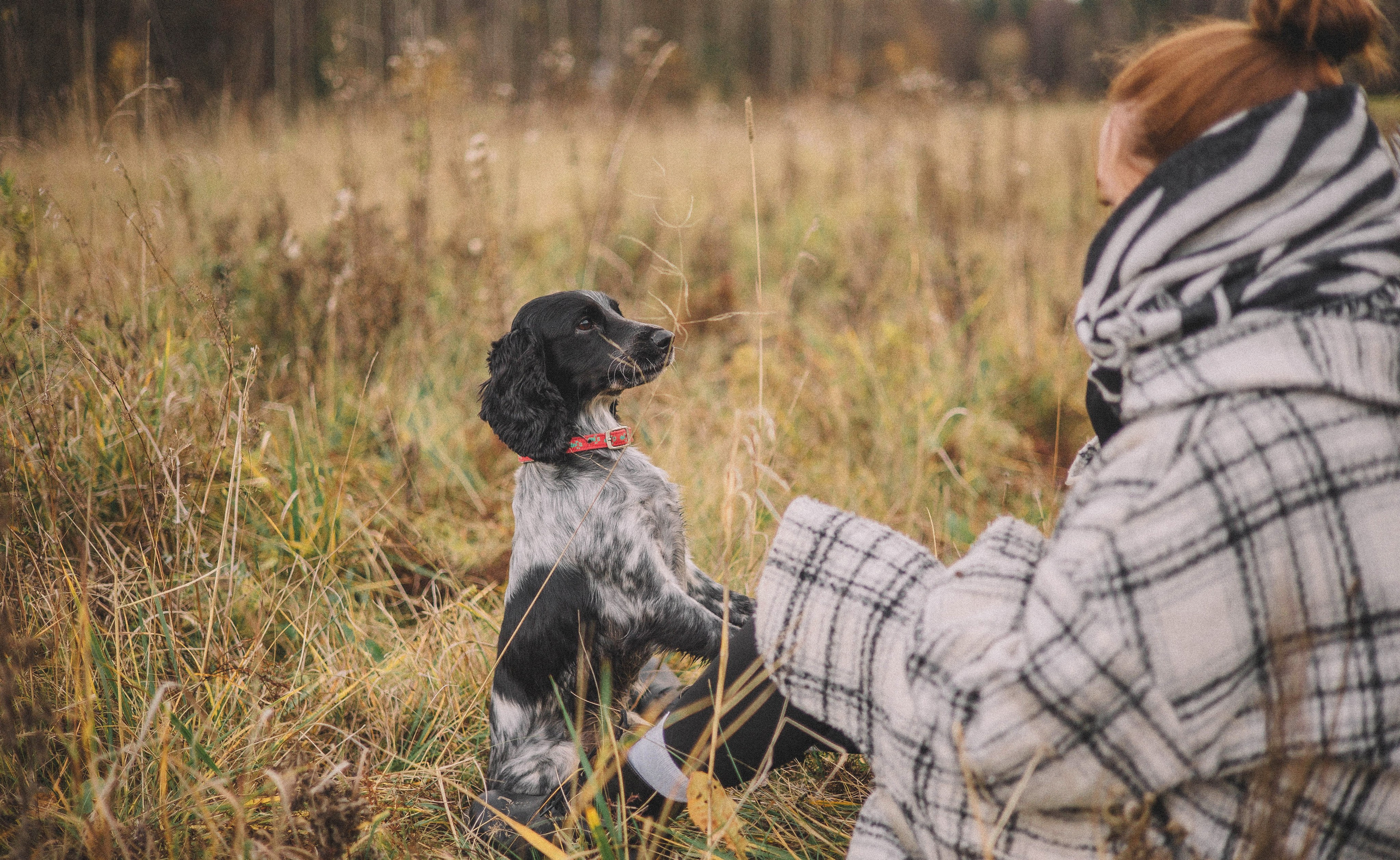 Вика и Ава. Фотограф-анималист Богданова Полина