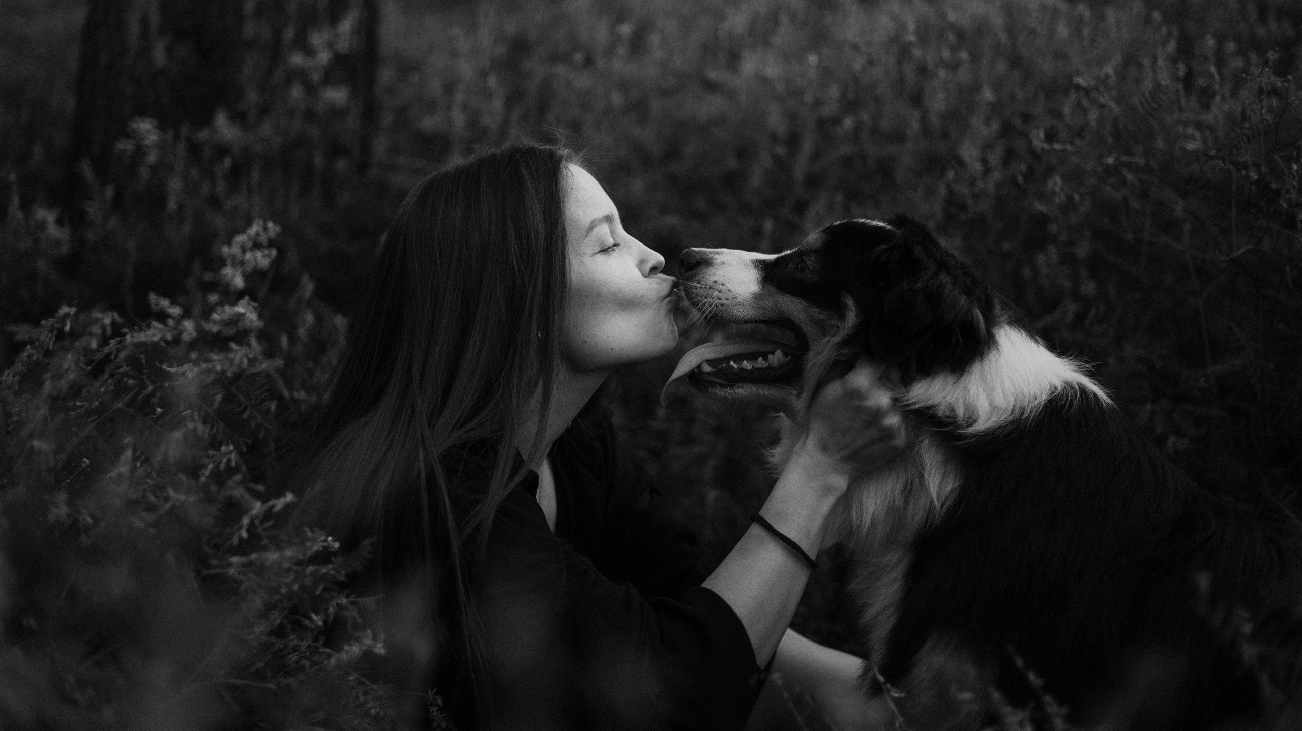 Яна и Уга. Фотограф-анималист Богданова Полина