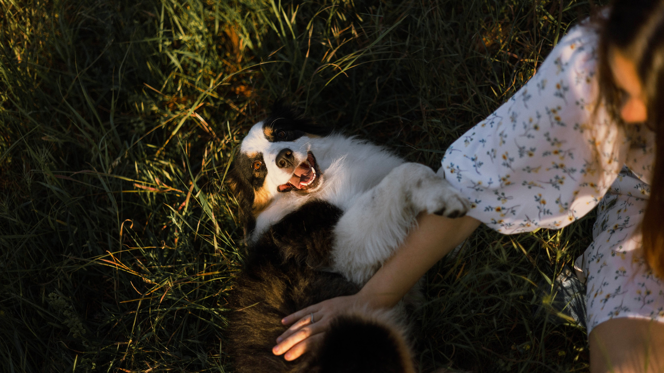 Ира и Джесс. Фотограф-анималист Богданова Полина
