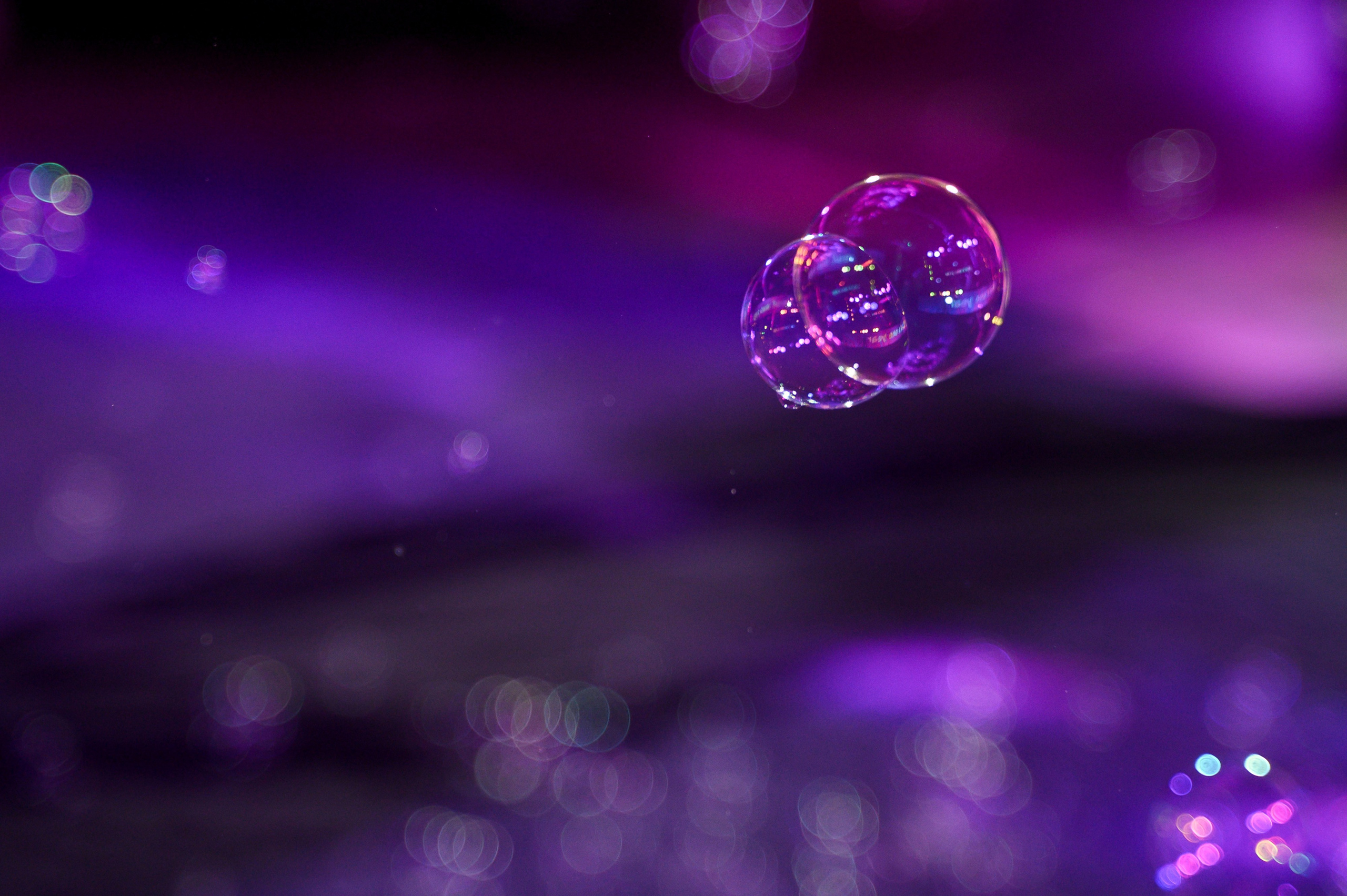 Mia's one year. Свадебный фотограф Минск