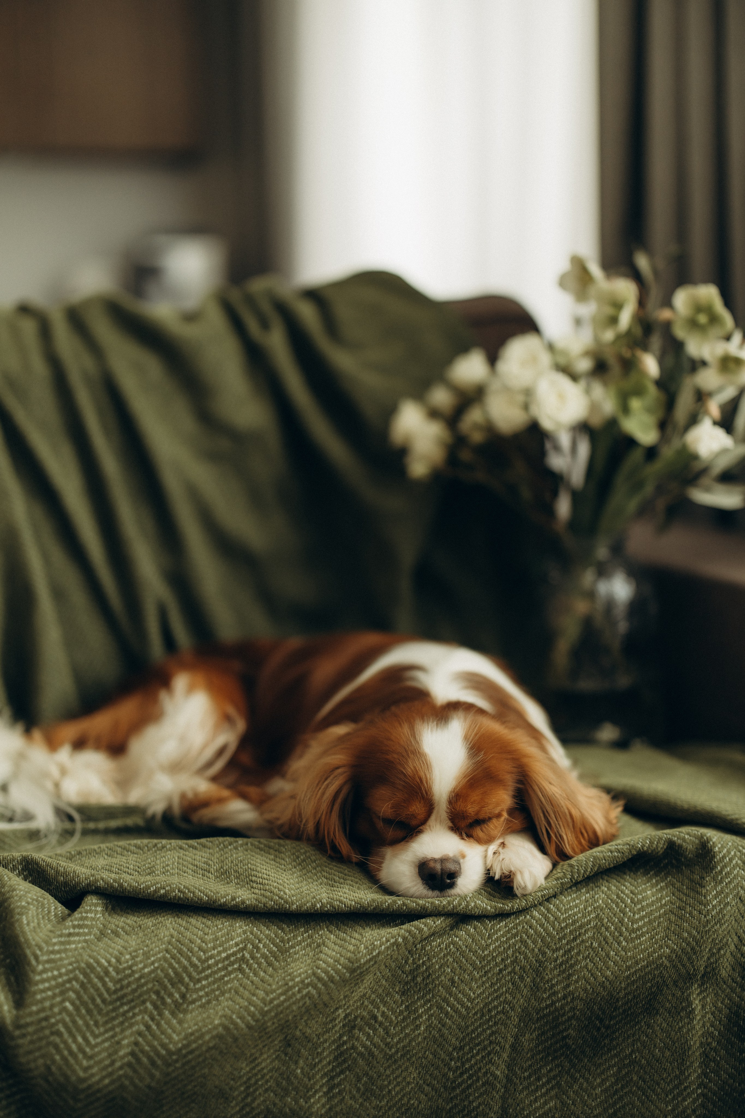 Аня, Ефим, Лимон. Семейный фотограф Оля Гладченко