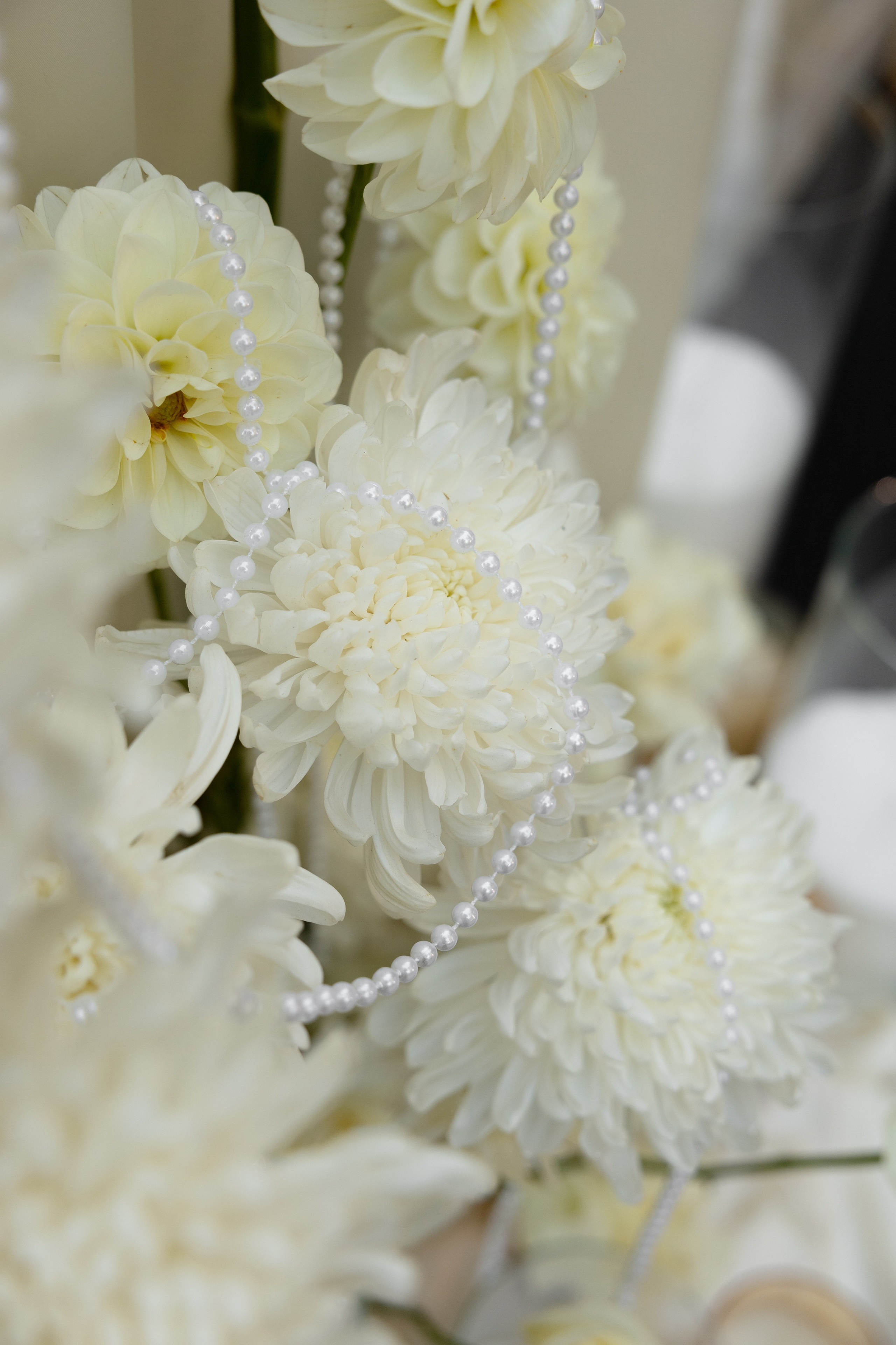 N + N. Фотограф Краснодар | Москва | Санкт — Петербург Куценко Диана