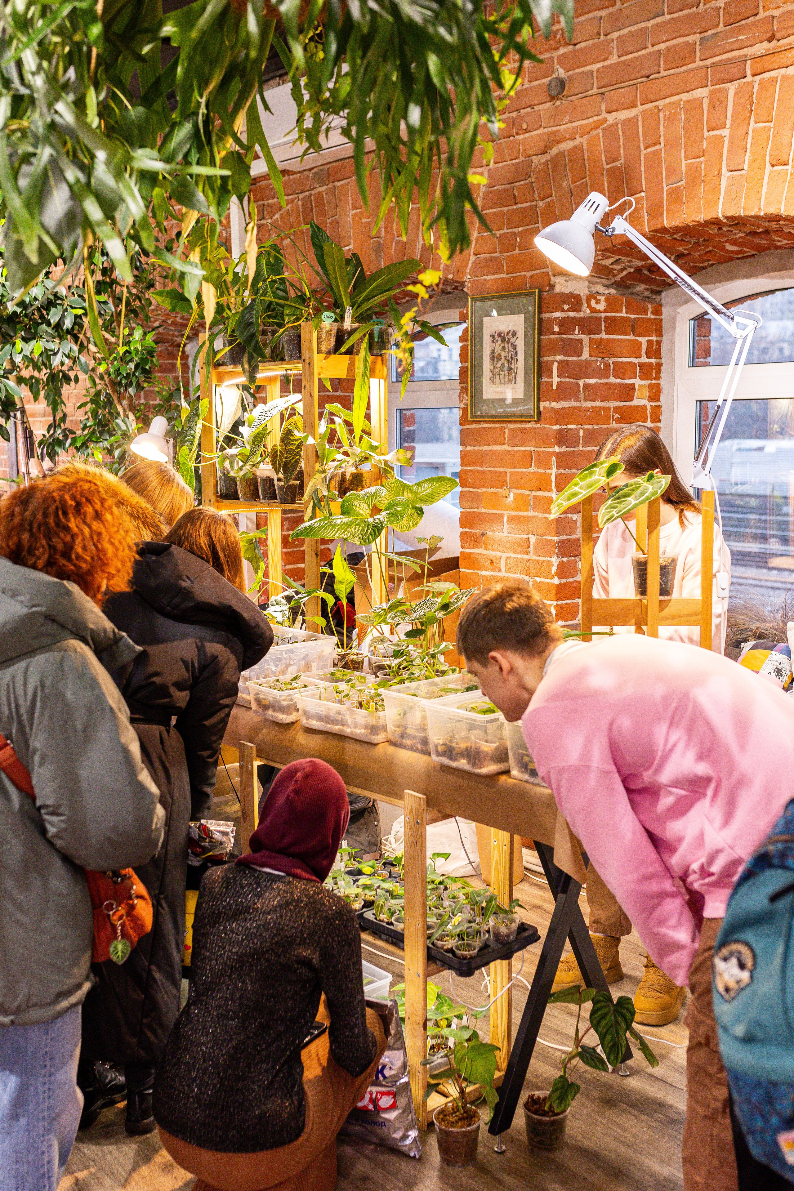 Green_Rare Ярмарка февраль 2025. Александра Куликова фотограф, Москва