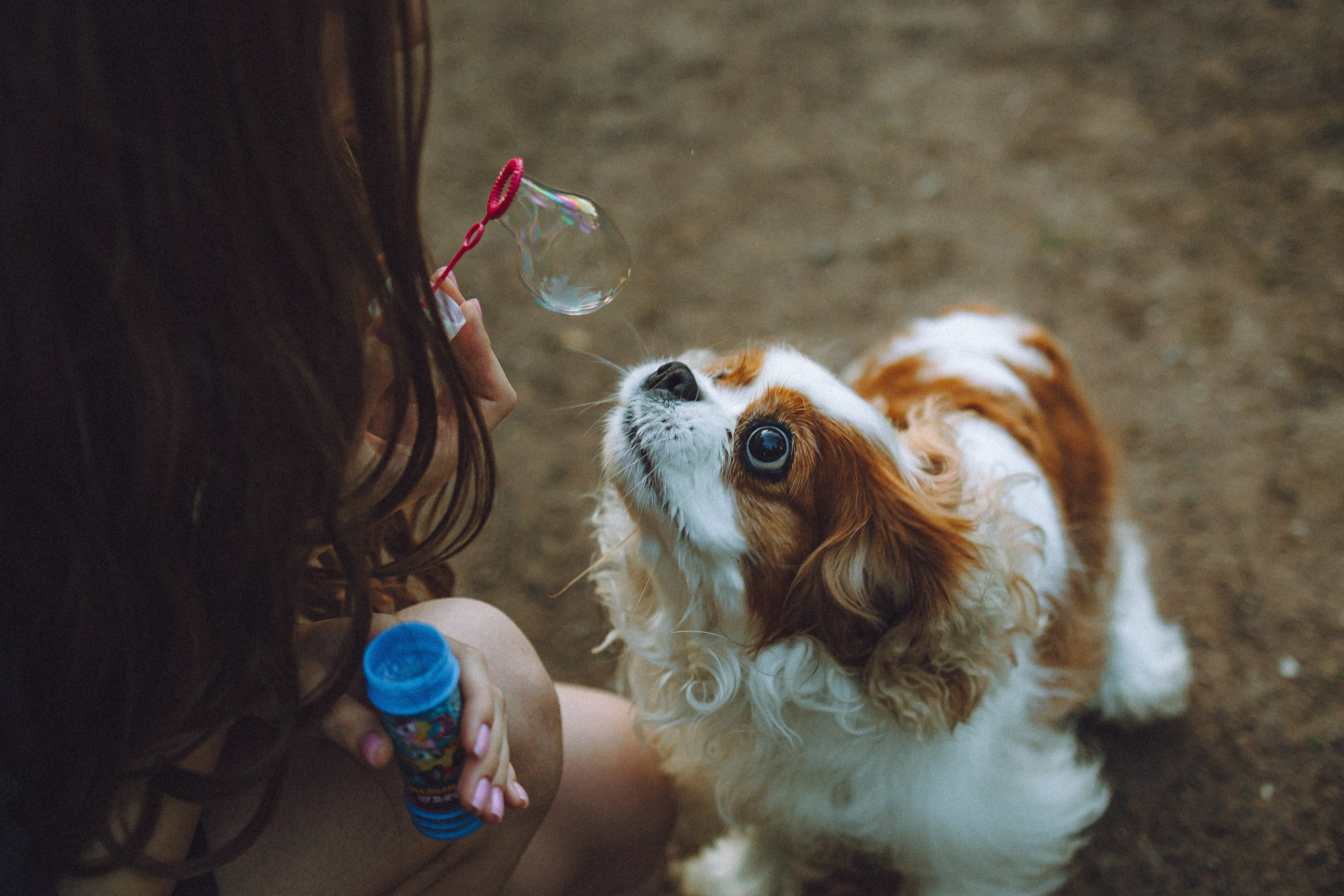 Наташа и Вики