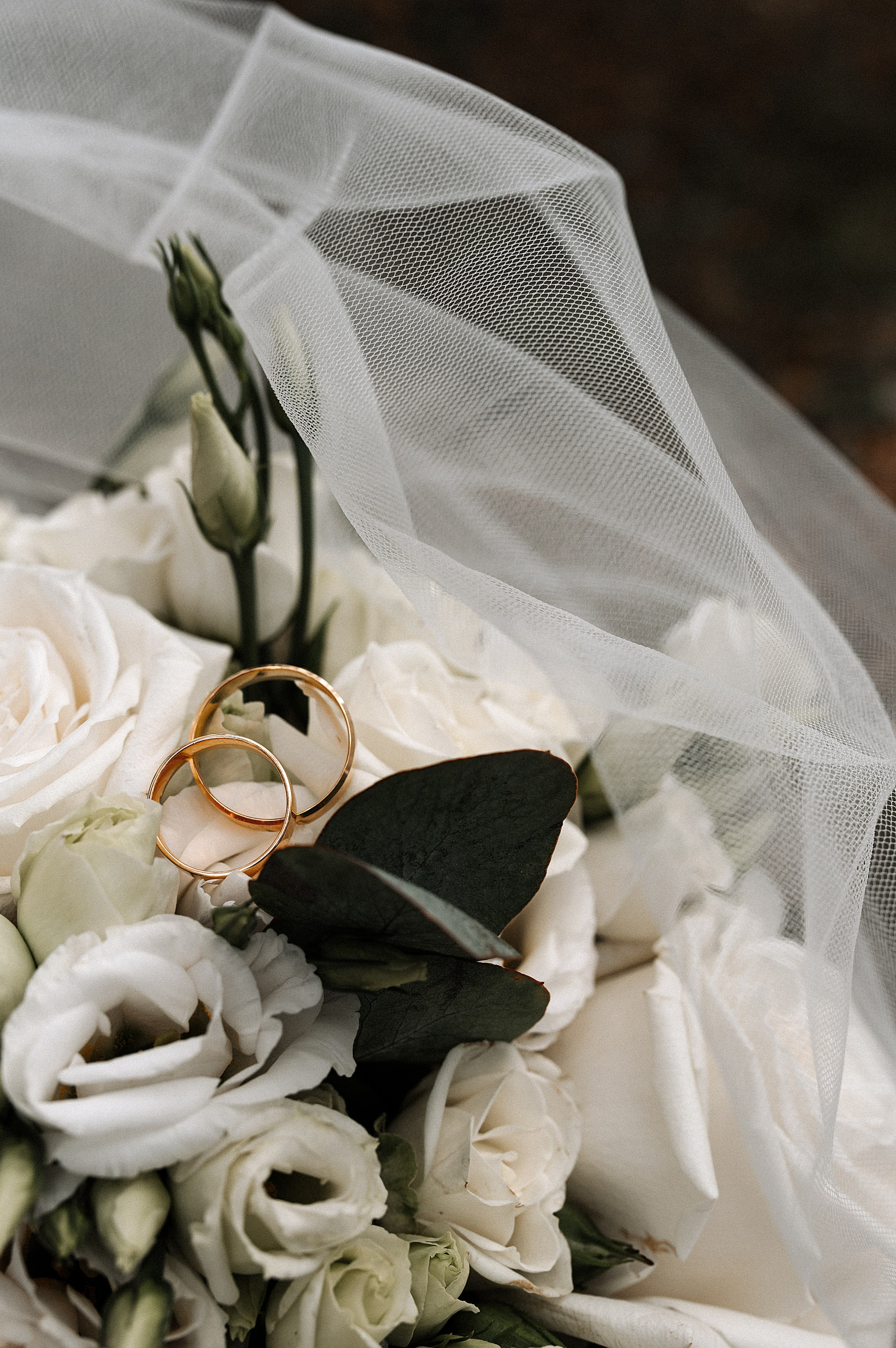 Сергей и Дарья. Фотограф Алексин, Тула