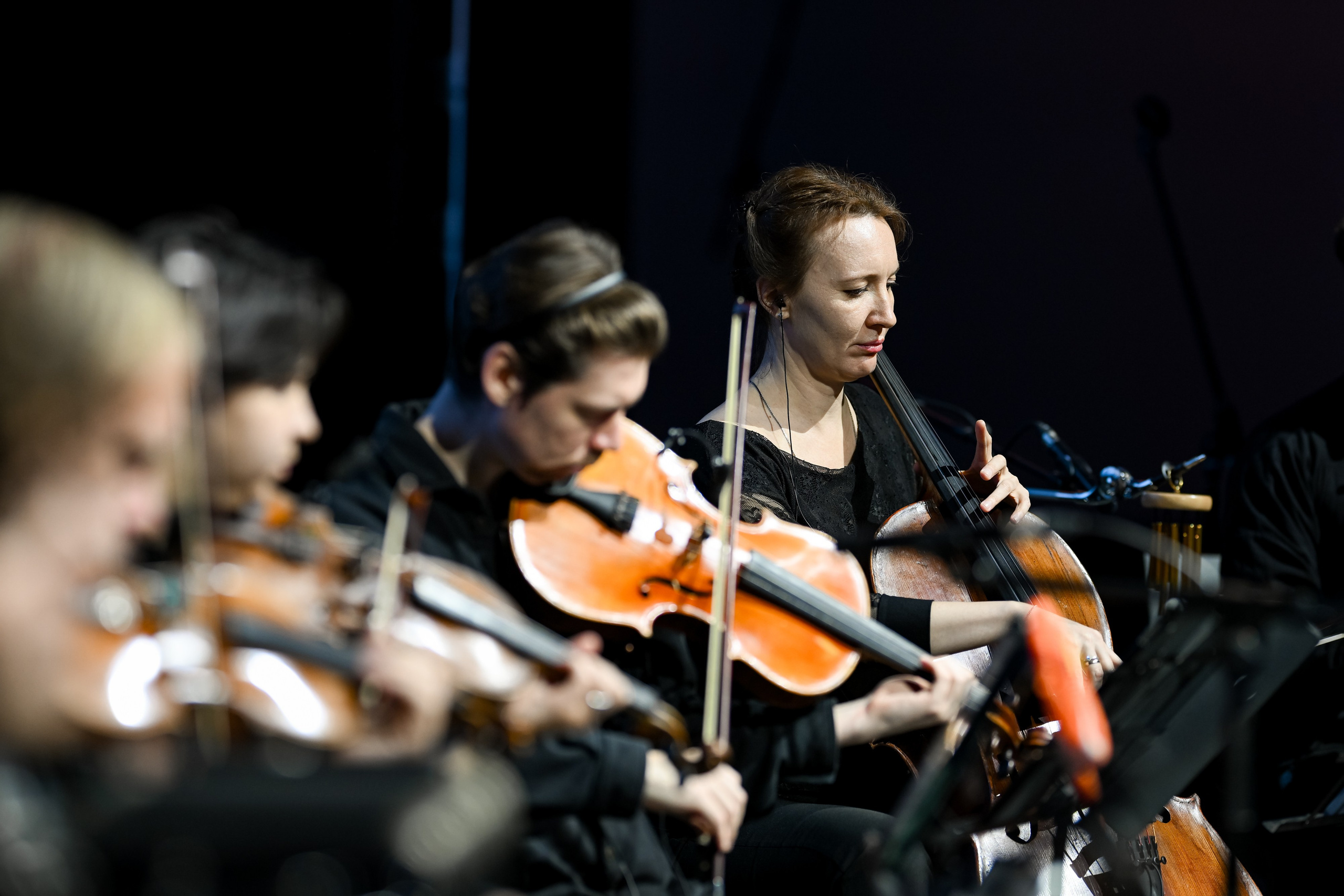 IP Quorum Концерт. За минуту До. Портфолио