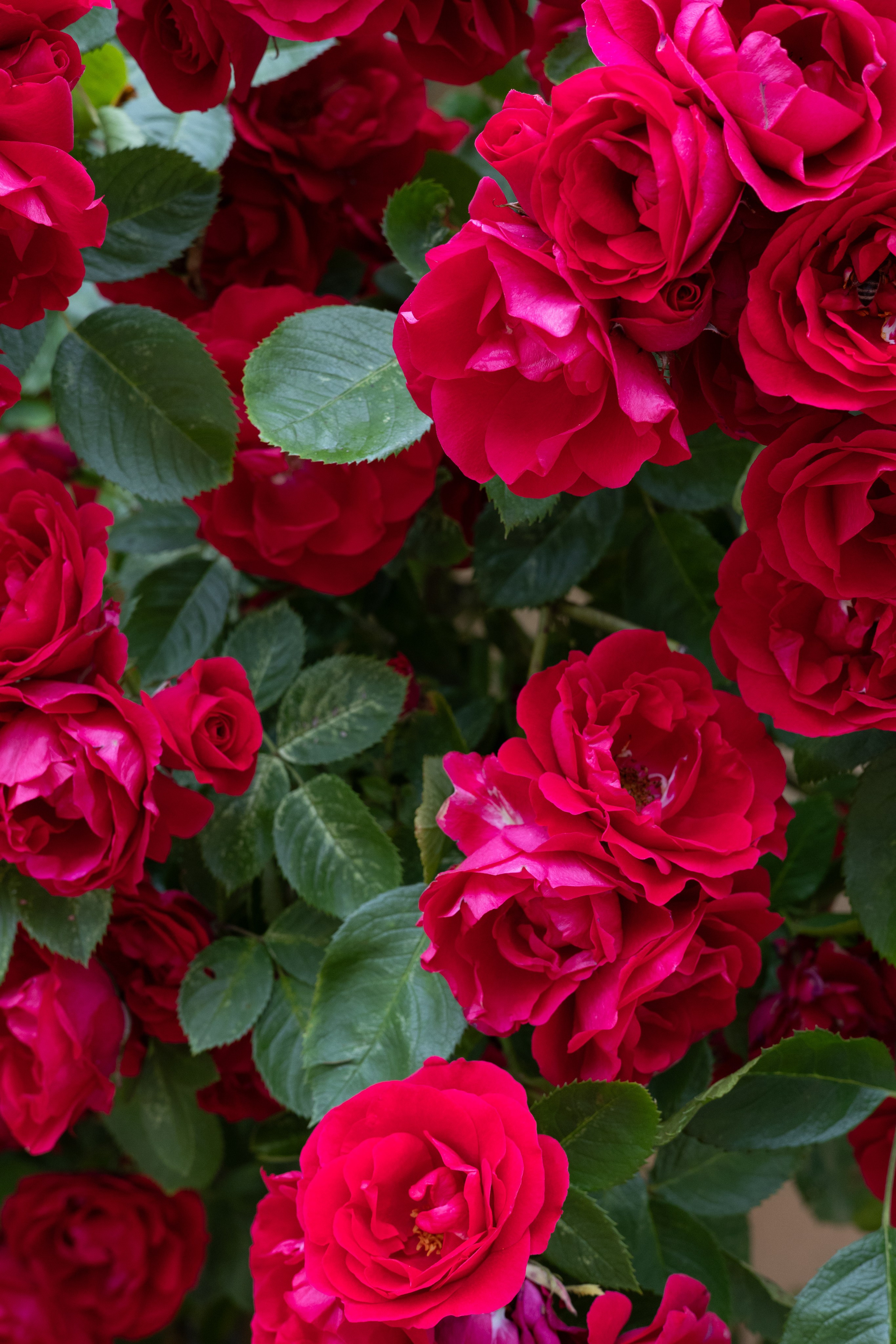 Bischofsgrün. ITMAG.ME | Visual Art