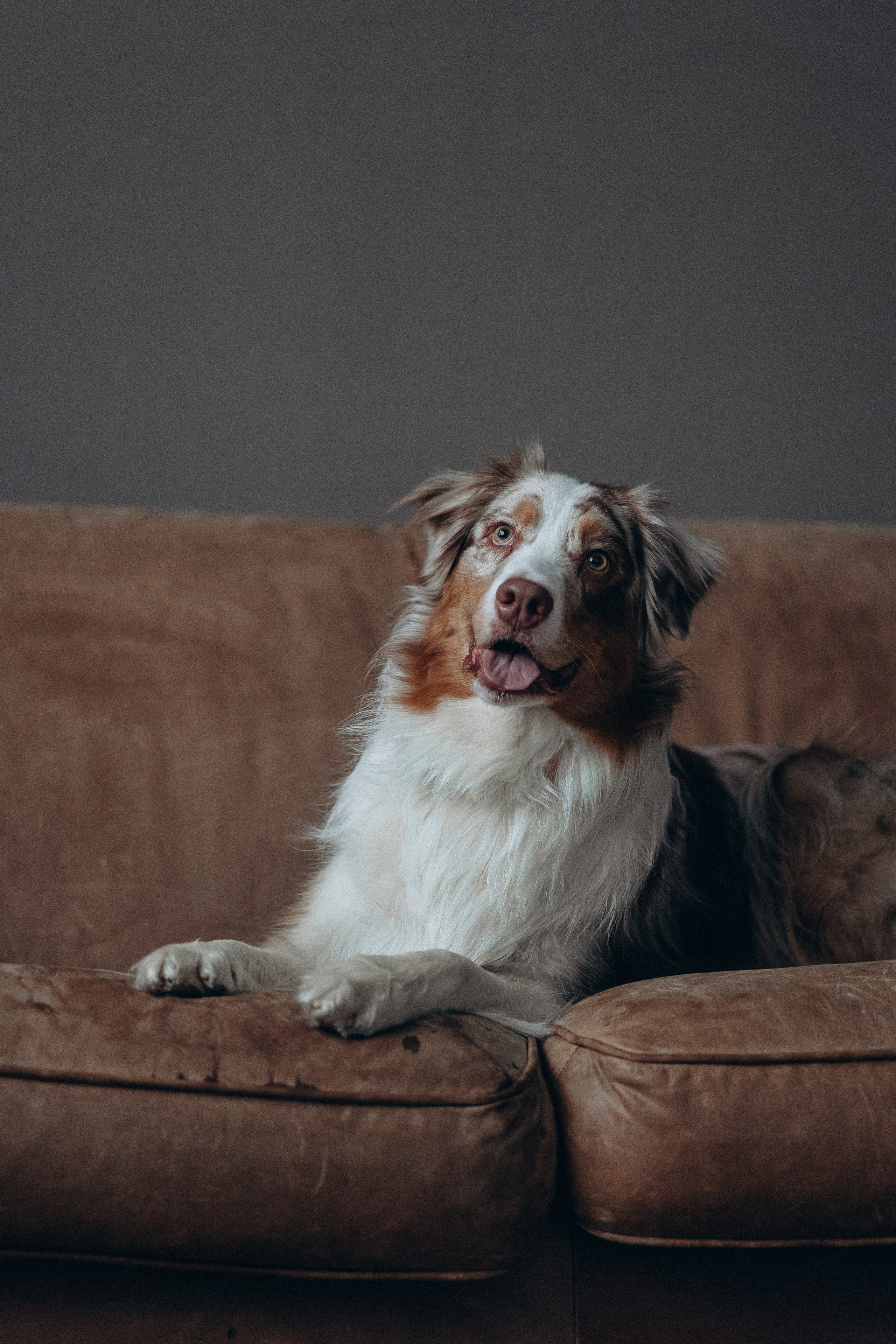 Катапульты. Фотораф — анималист Мария Шистка