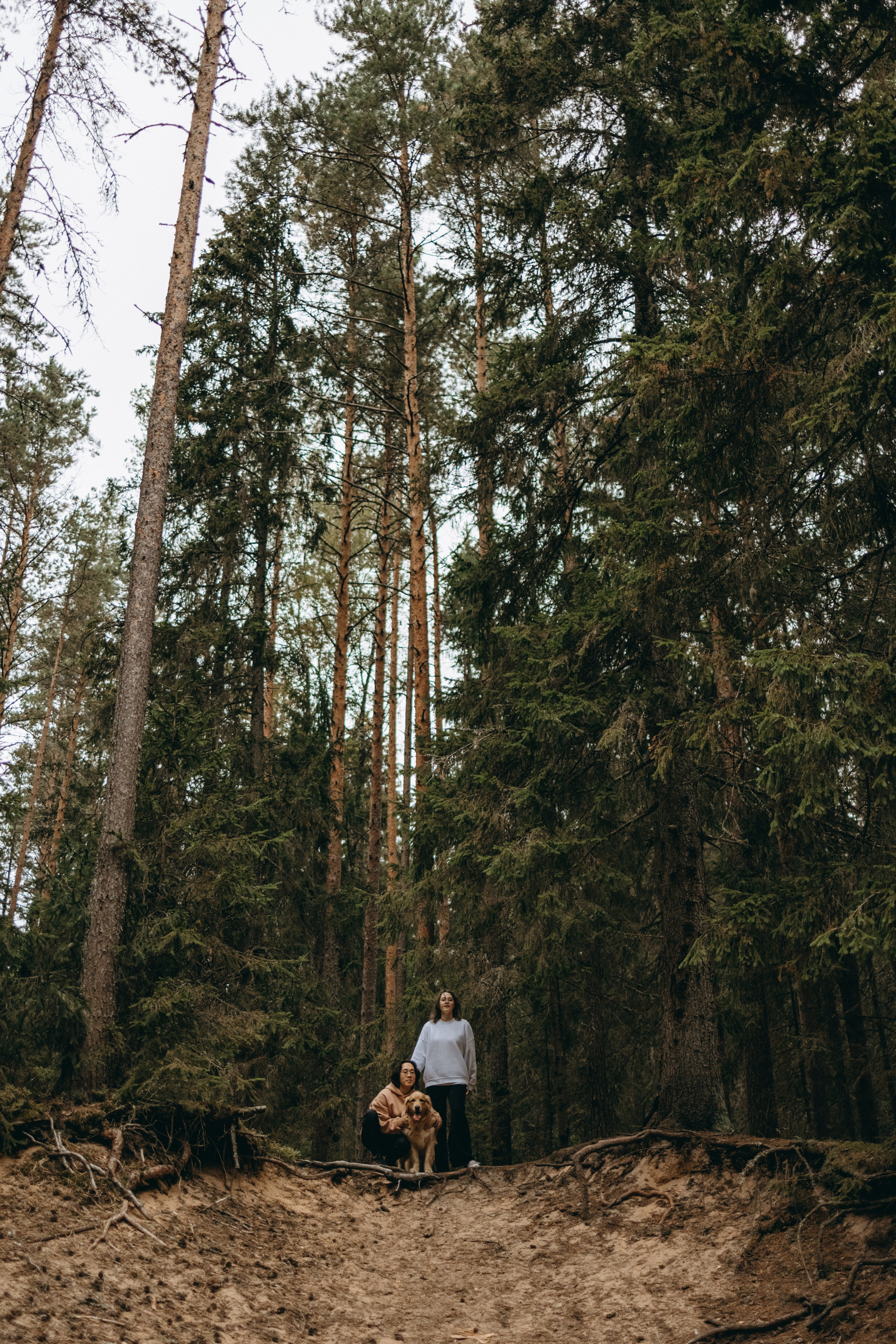 Фоси и его семьи. Фотограф — Анималист | Санкт-Петербург