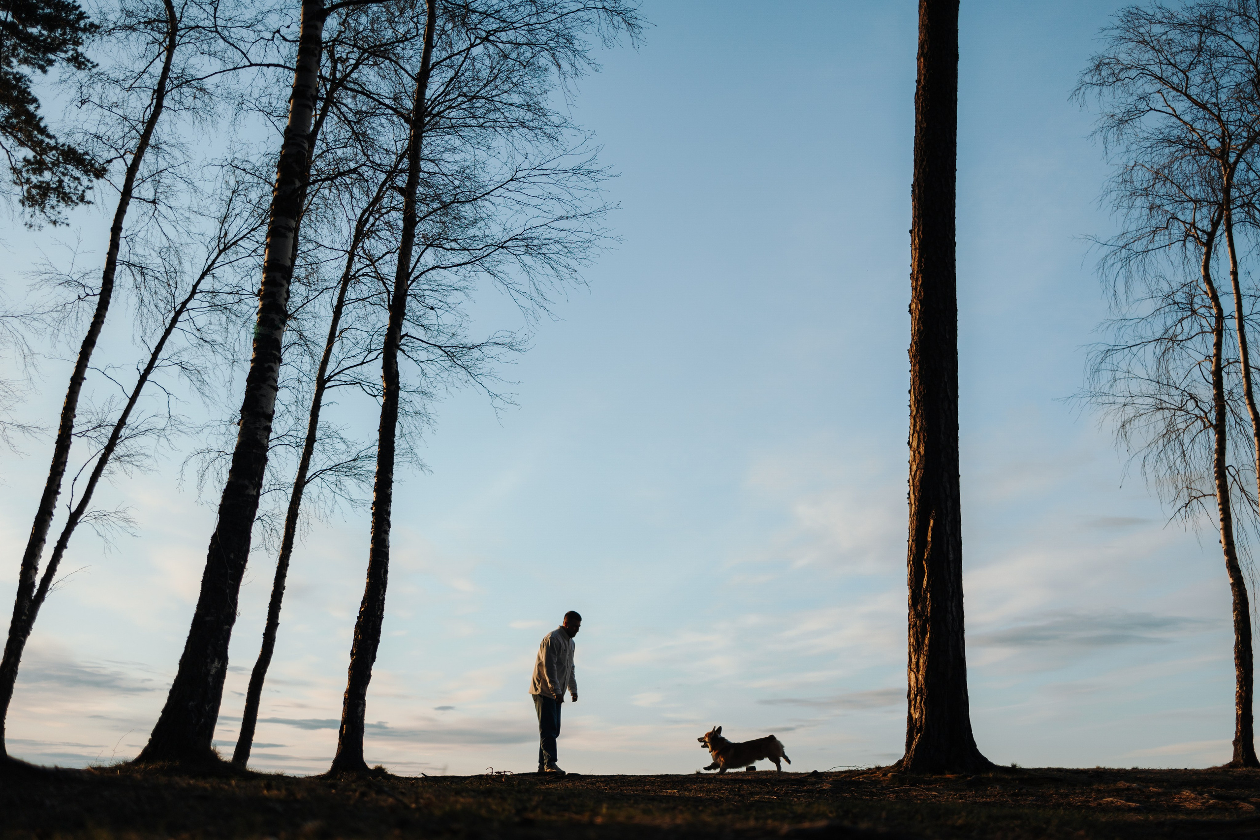 Найт и его семья. Фотограф — Анималист | Санкт-Петербург