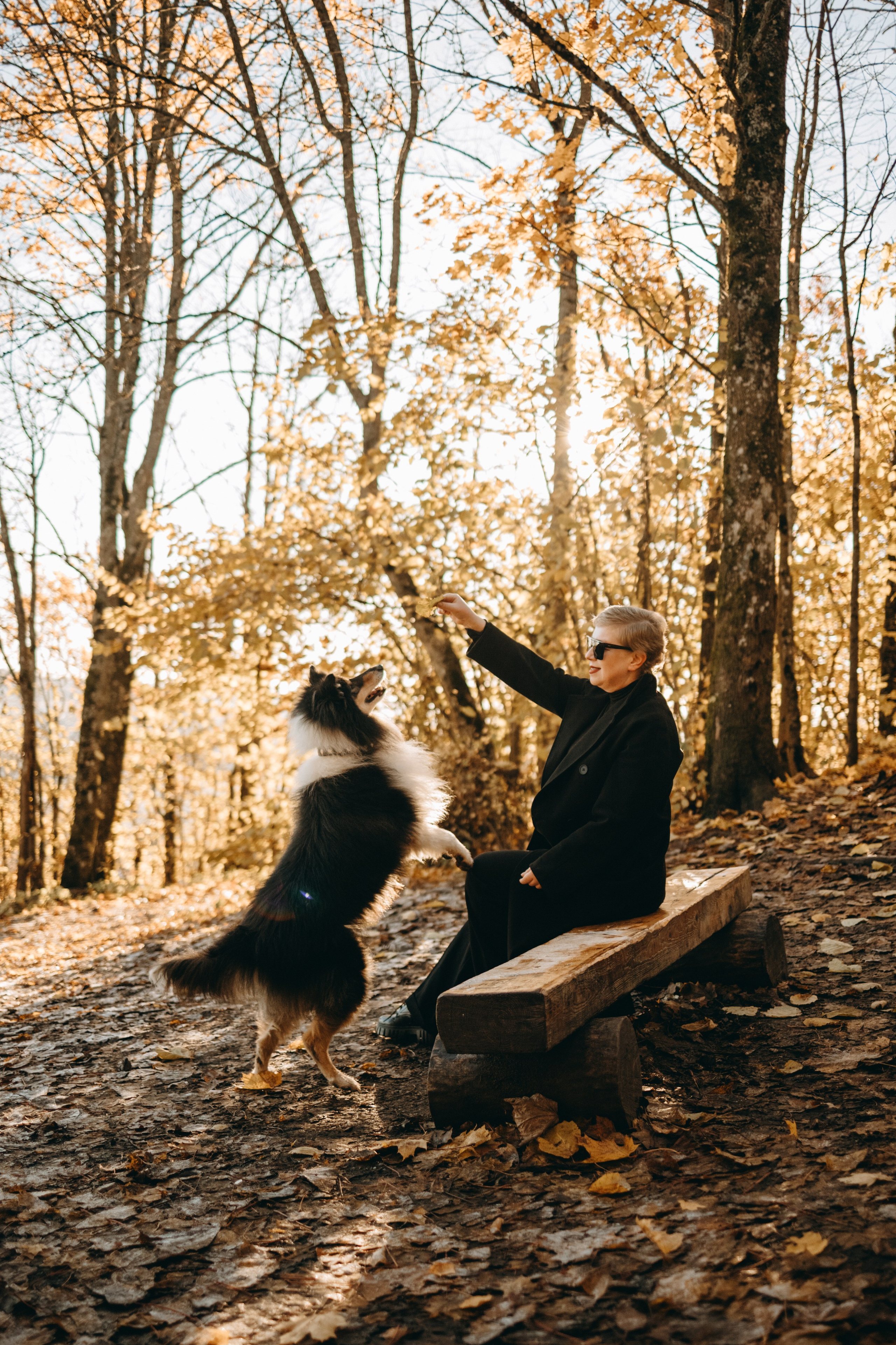 Ия и Барт. Фотограф — Анималист | Санкт-Петербург