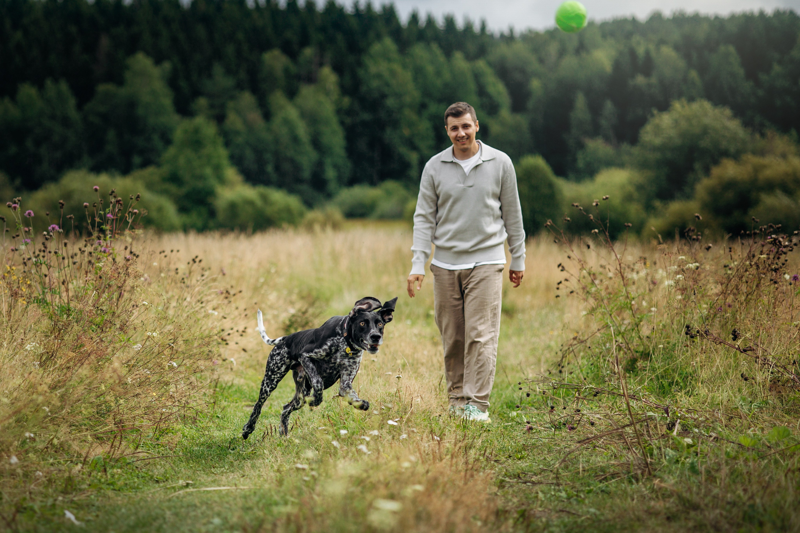 Хеликс и его семья. Фотограф — Анималист | Санкт-Петербург