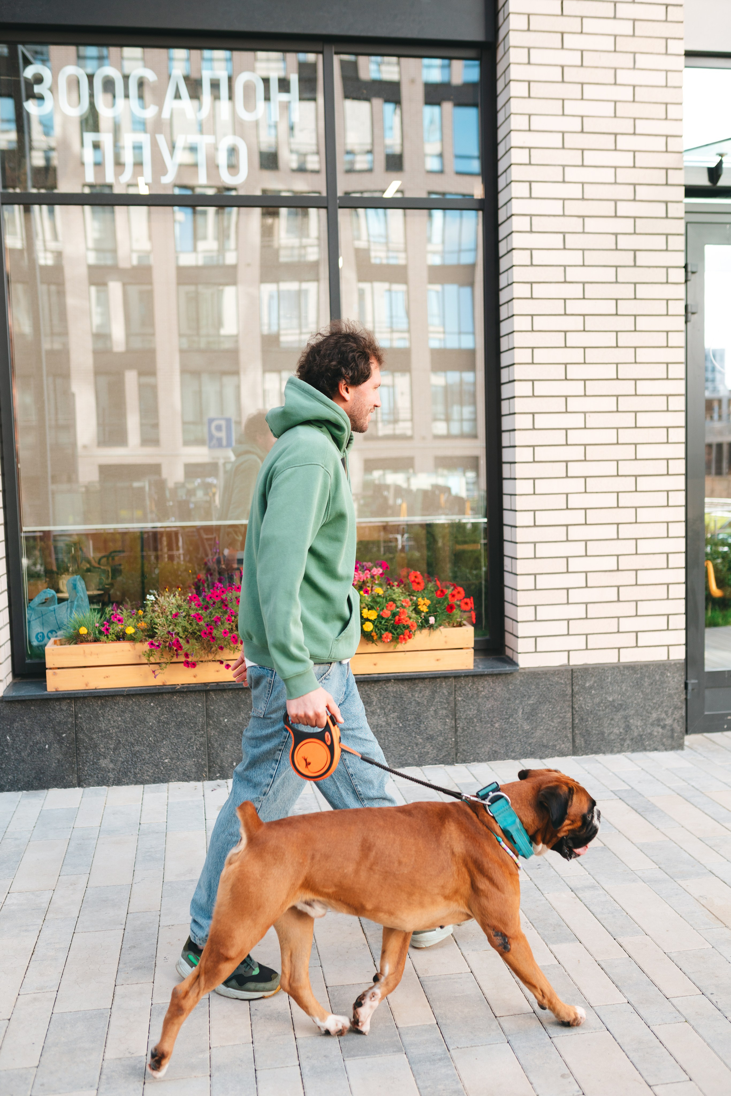 Груминг — салон. Фотограф анималист Осипчикова Мария