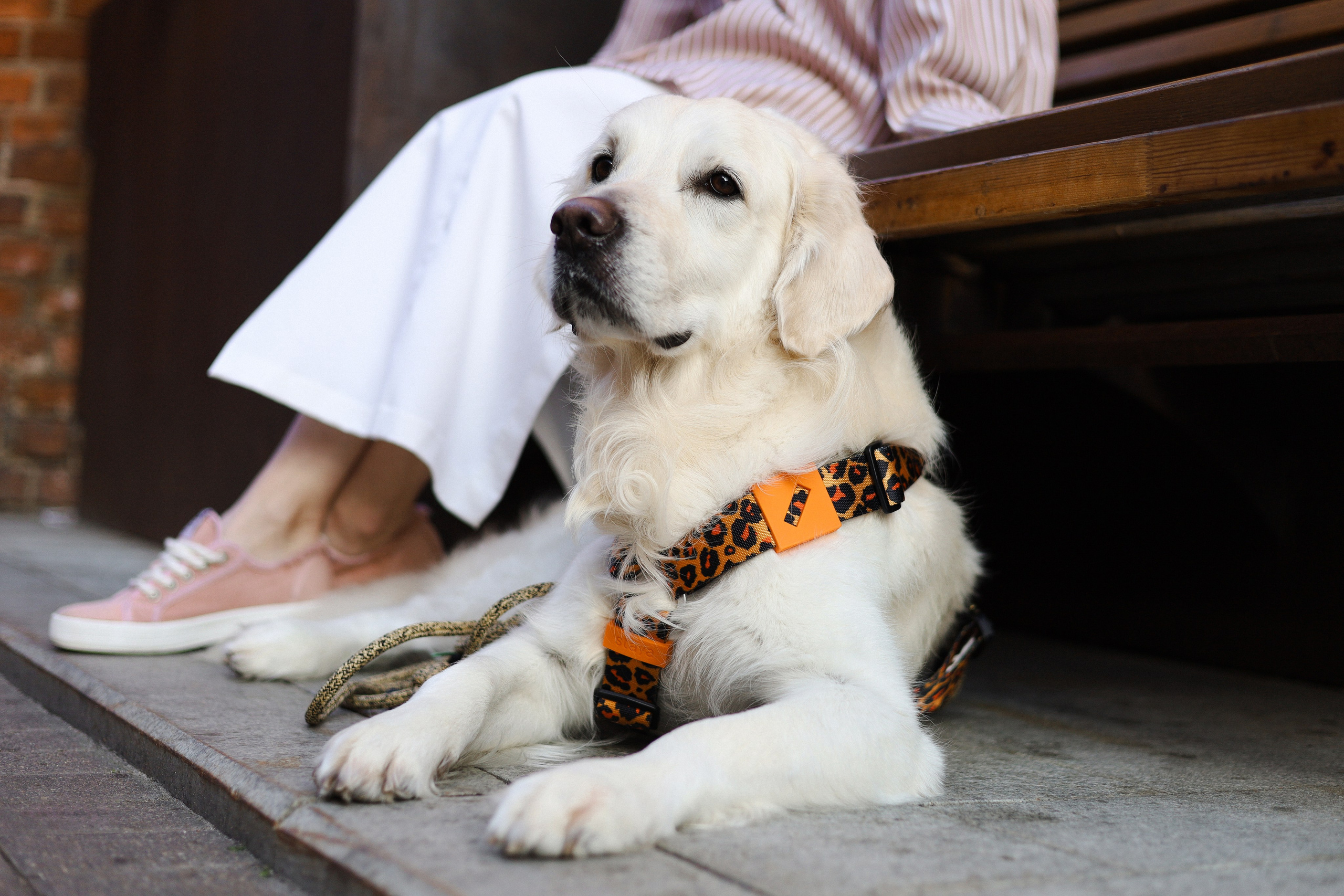 Зиз и Юля. Часть 3. Фотограф-анималист Ксения Шевцова|Москва