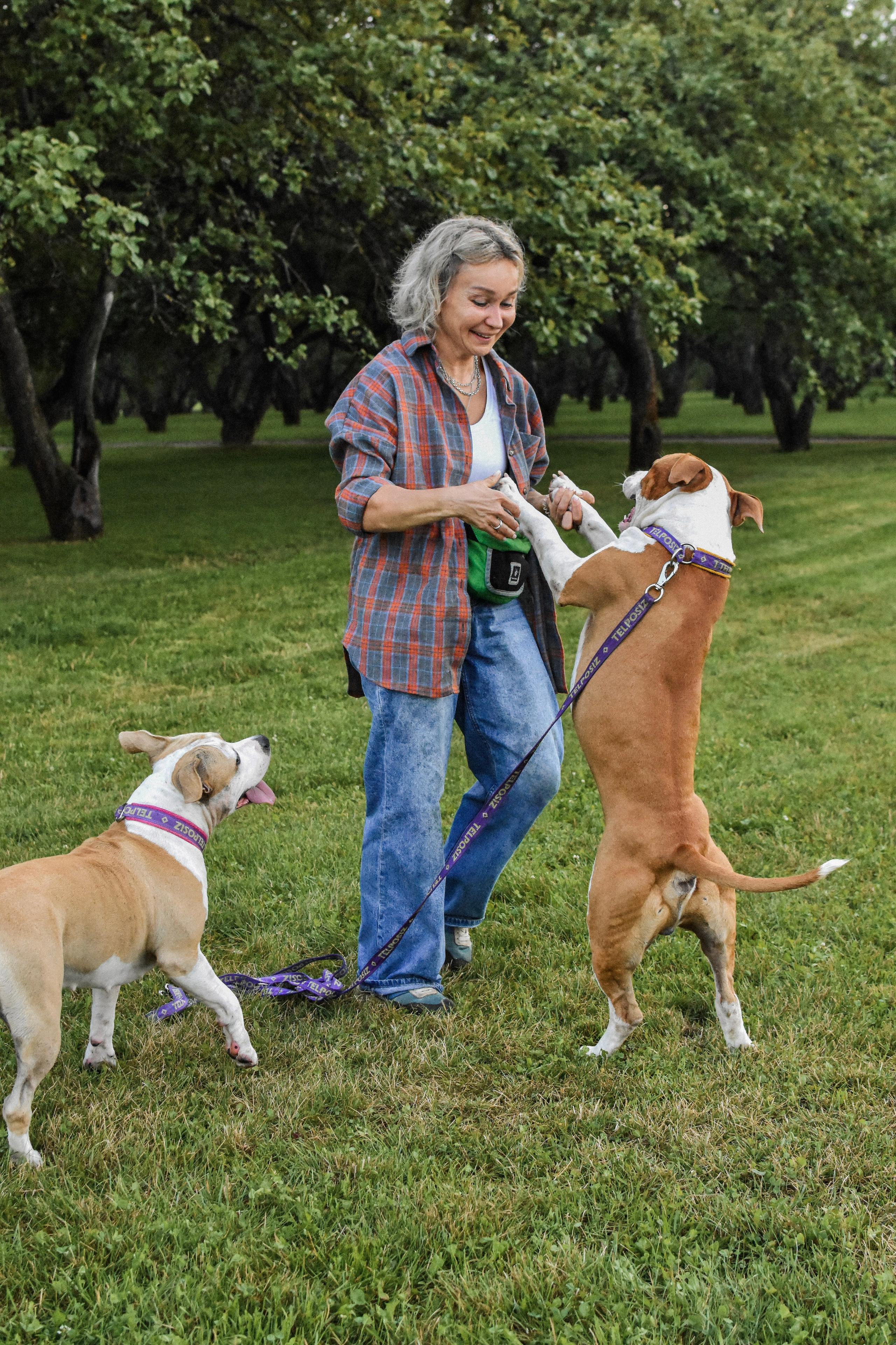 Стив, Стеша и Маша. Фотограф-анималист Ксения Шевцова|Москва