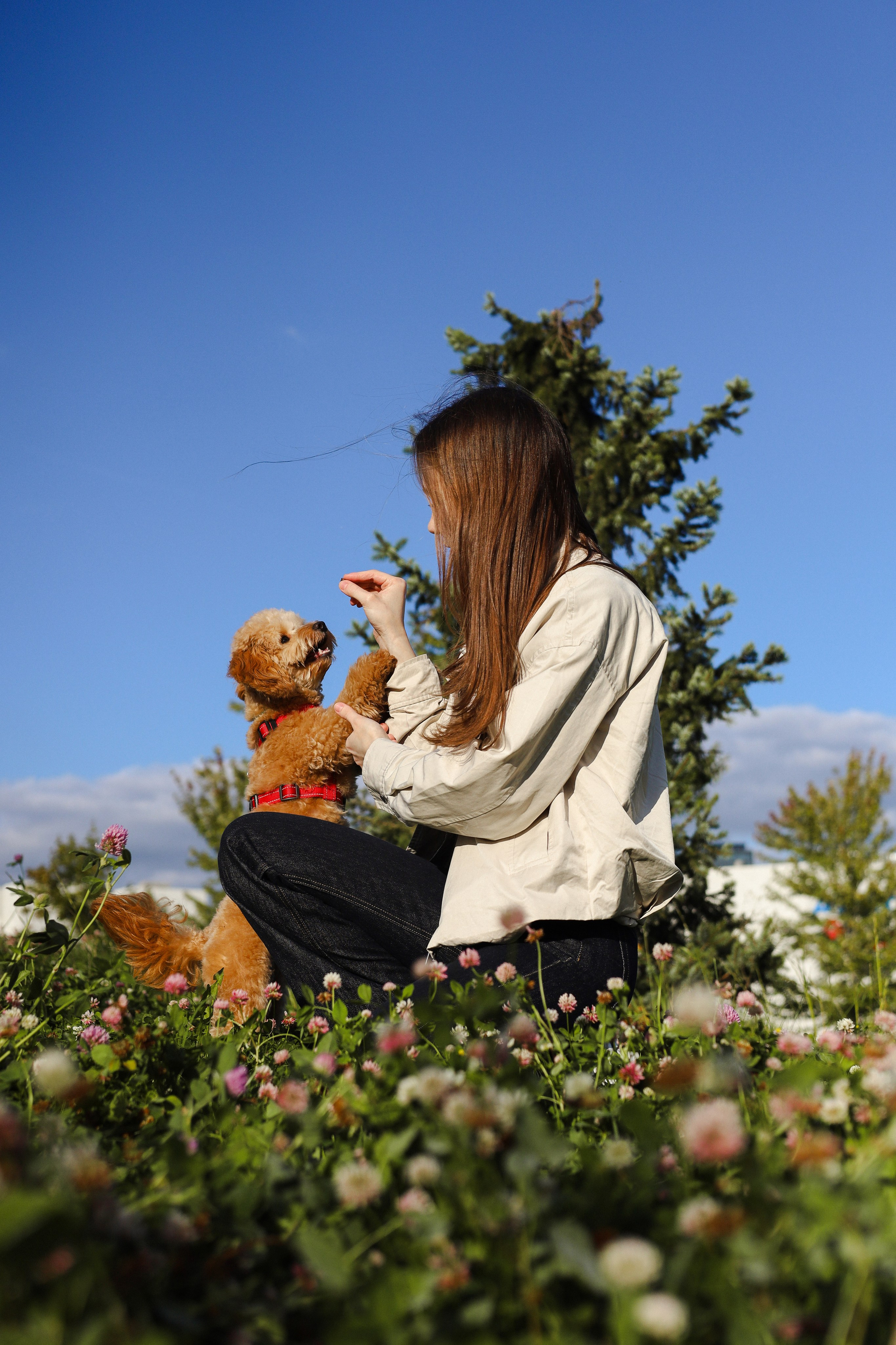 Поршик и Ксения. Фотограф-анималист Ксения Шевцова|Москва