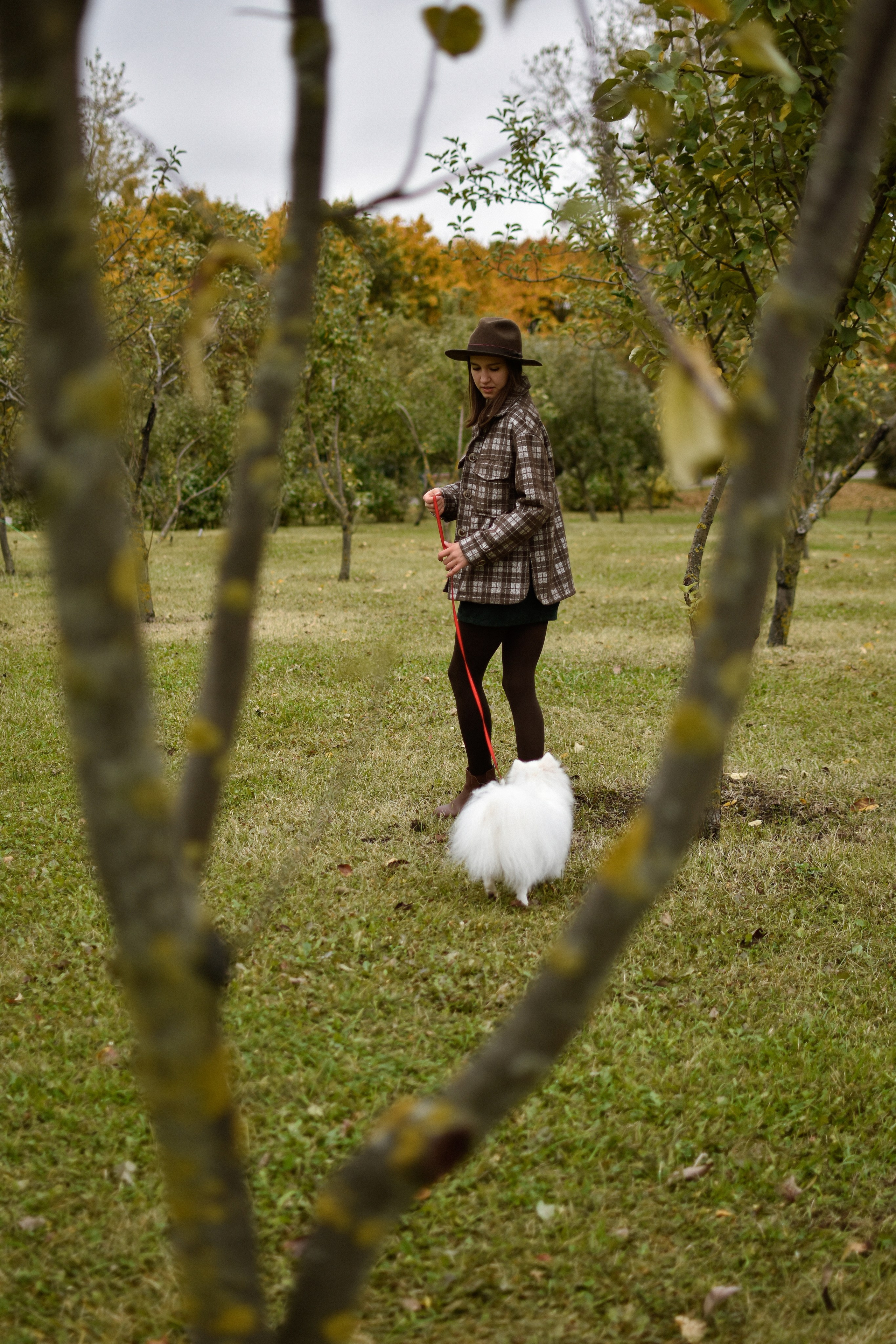 Анабель и Саша. Фотограф-анималист Ксения Шевцова|Москва