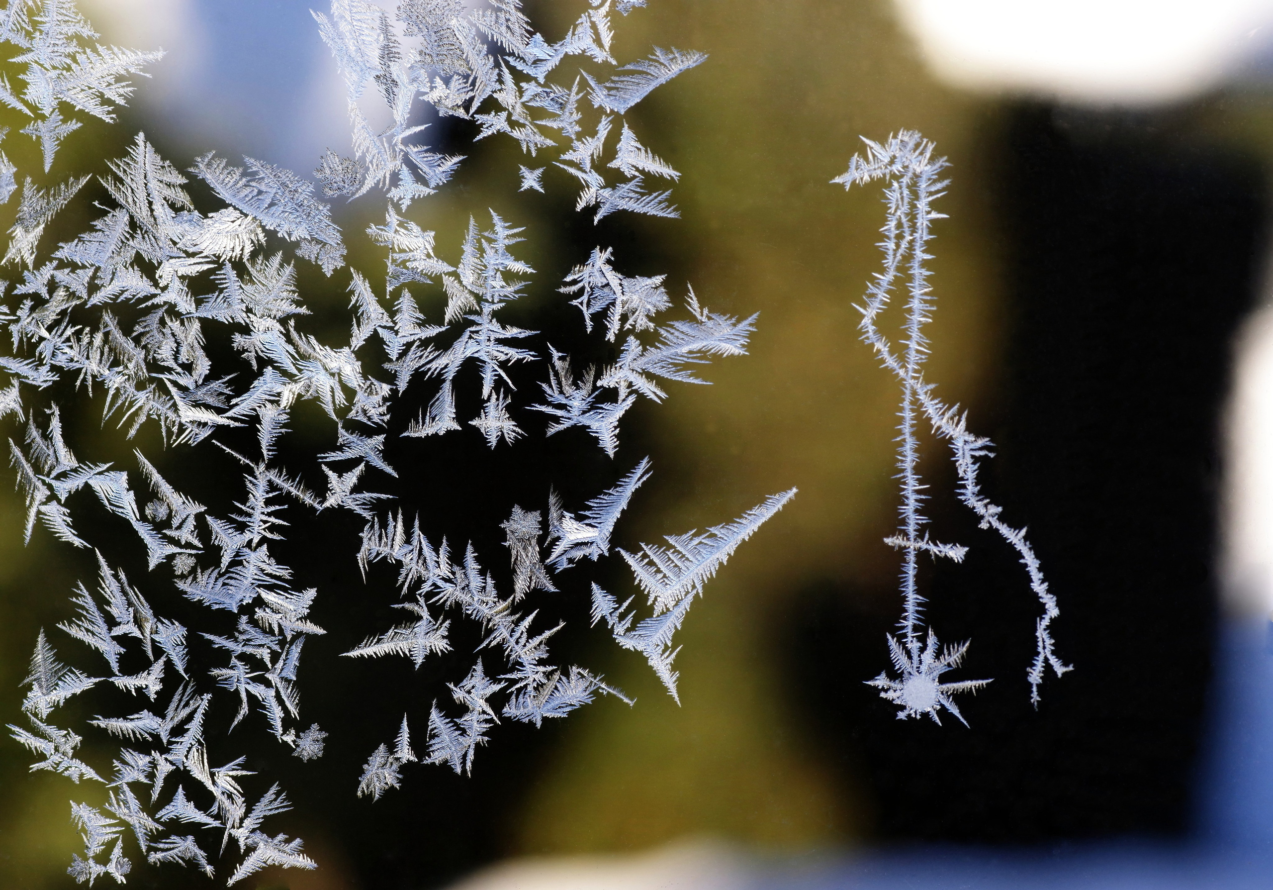 3. Вадим Шейдин