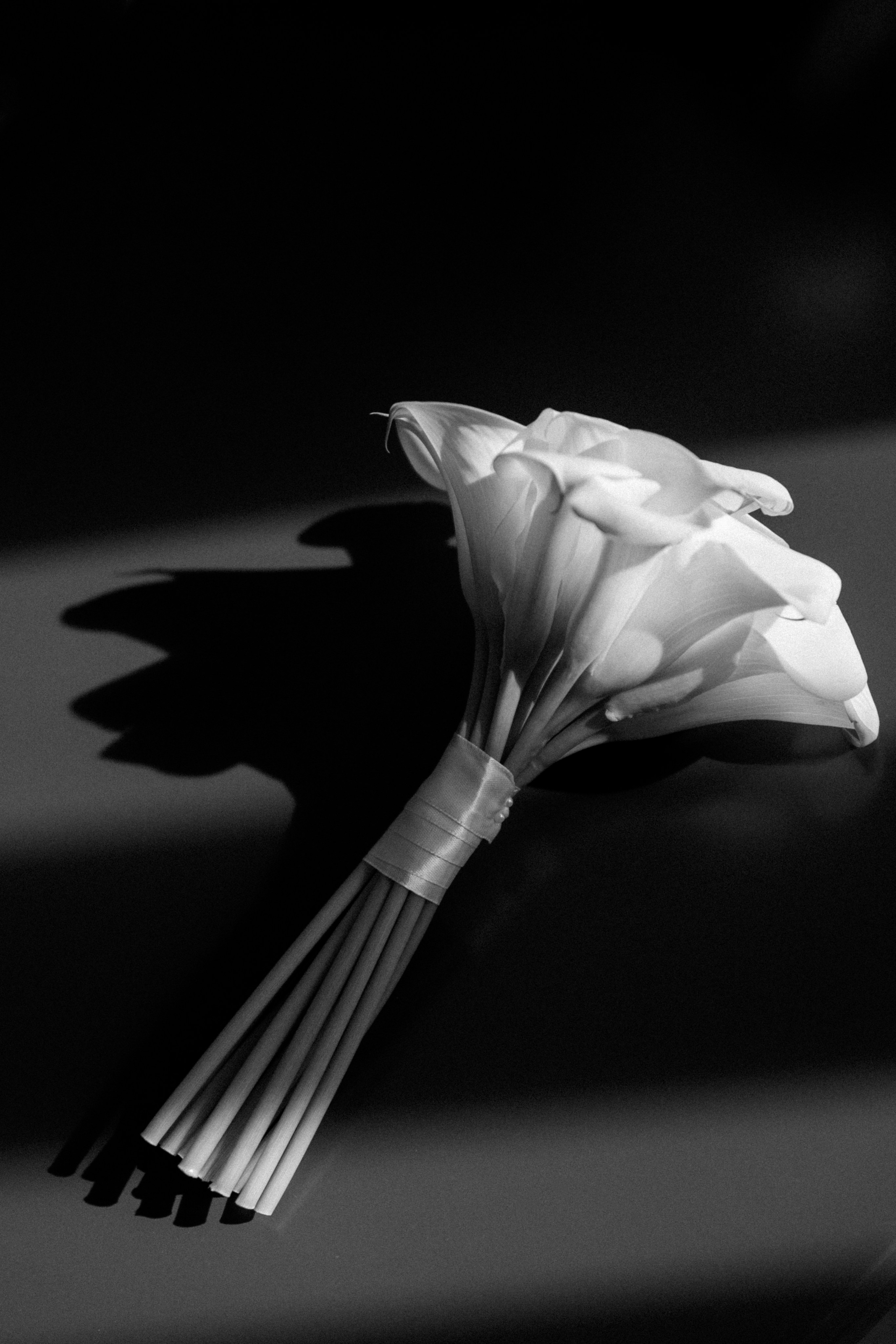 Максим и Ангелина. Фотограф Тюмень Пушковская Кристина