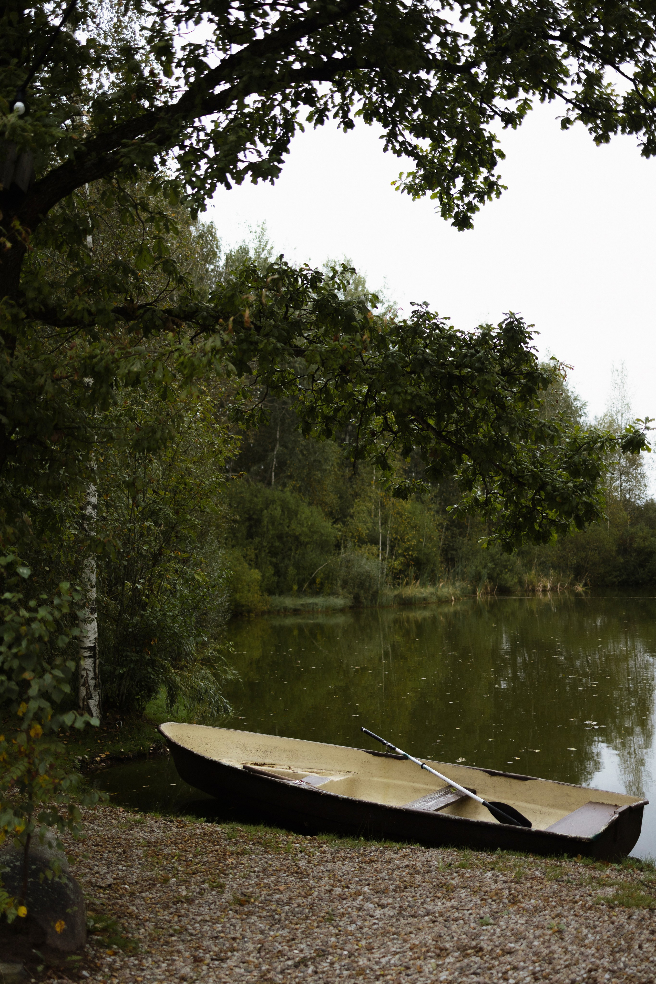P&V. Свадебный фотограф Лиза Макатович Беларусь Минск