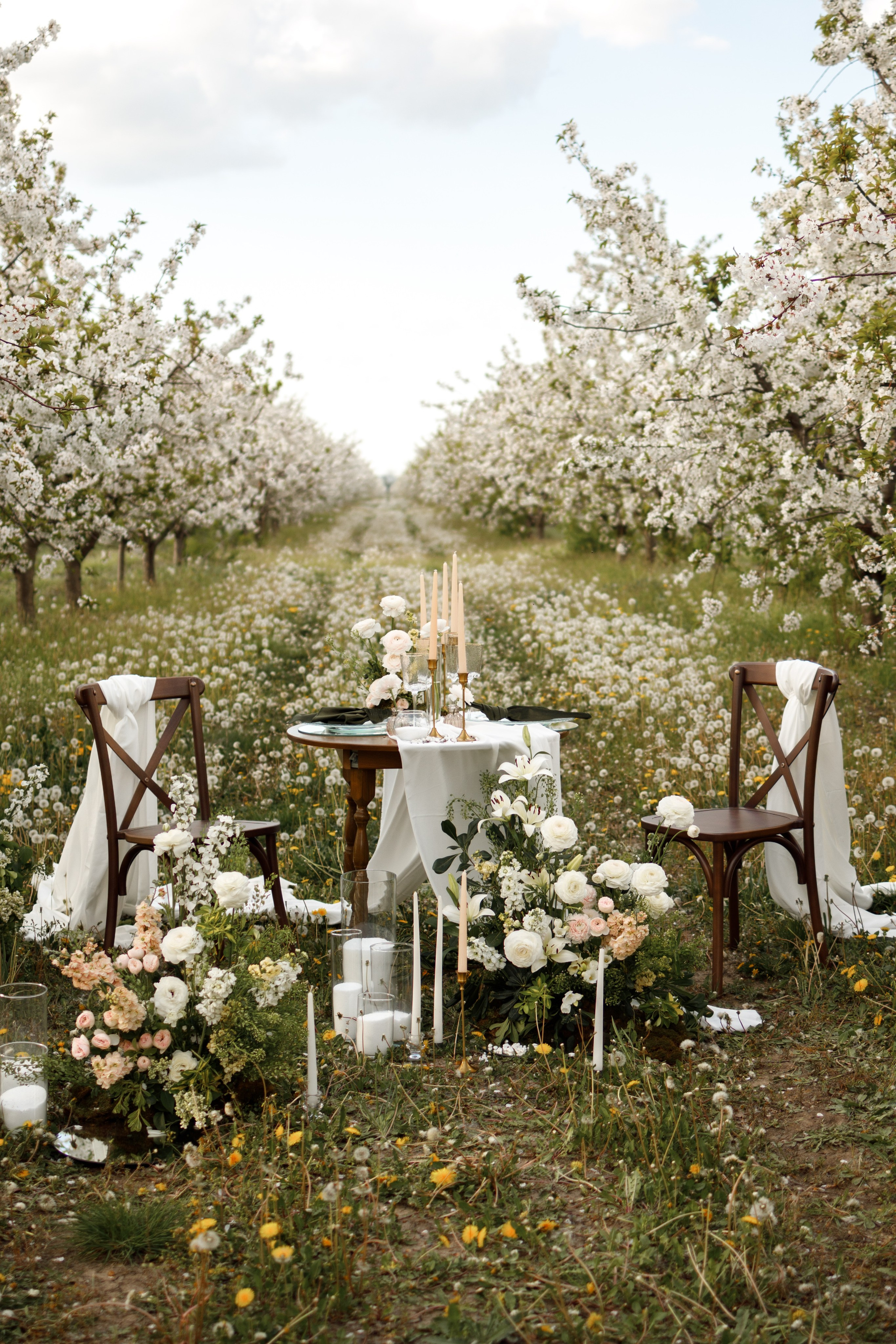 Александр и Ольга. Фотограф Краснодар