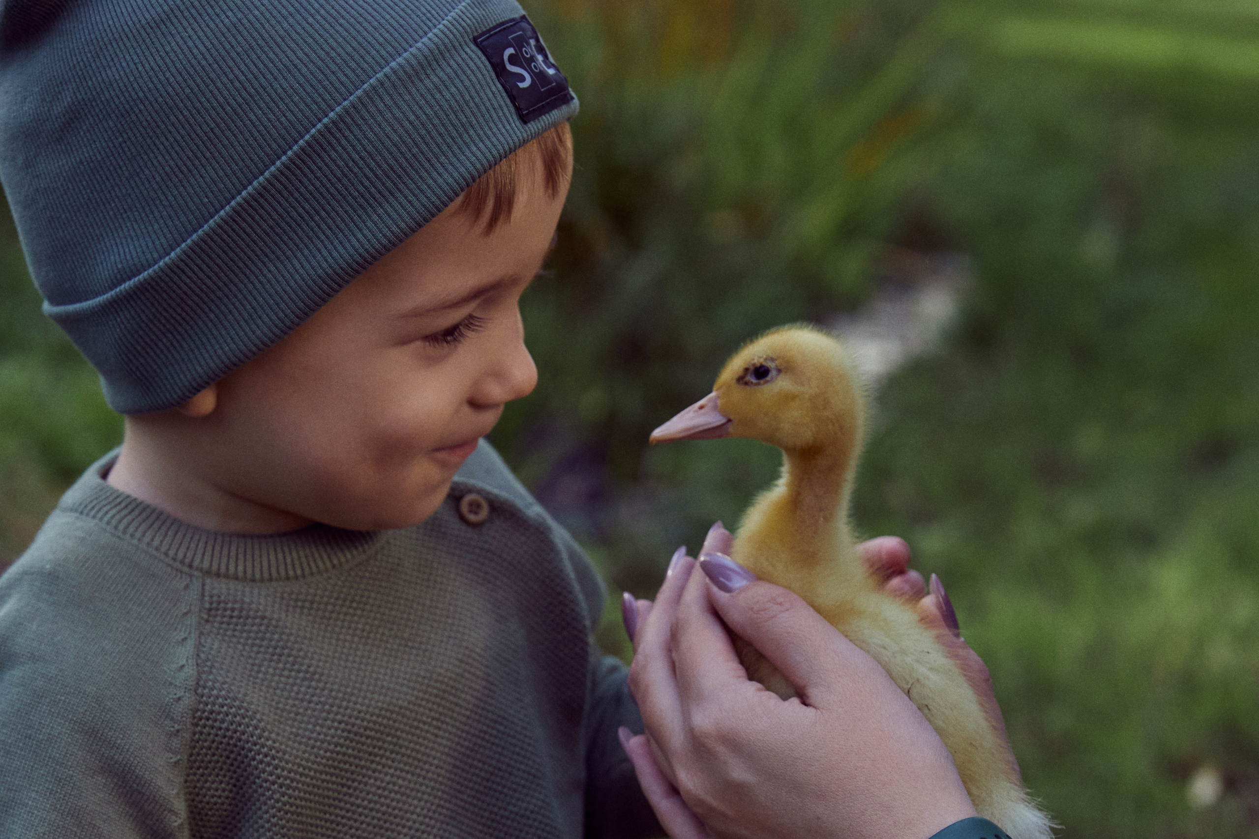 Фотодень с утятами (пруд). Фотограф