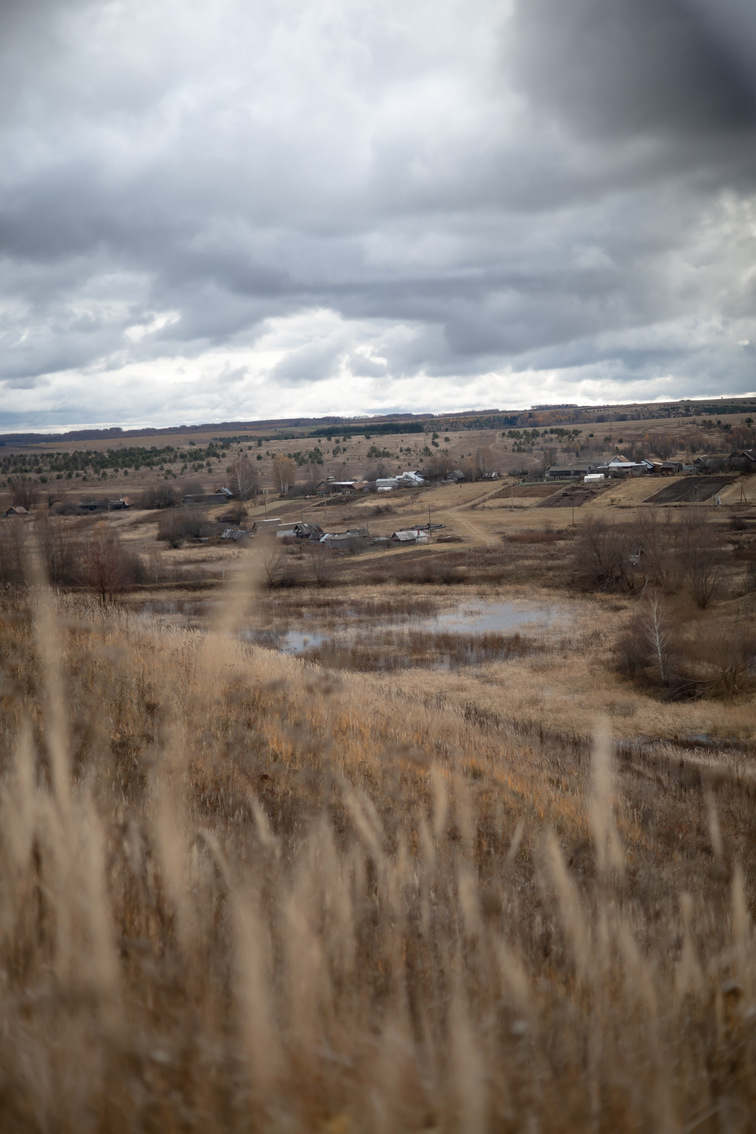 ЗУХРА. Фотограф Элла Ефимова