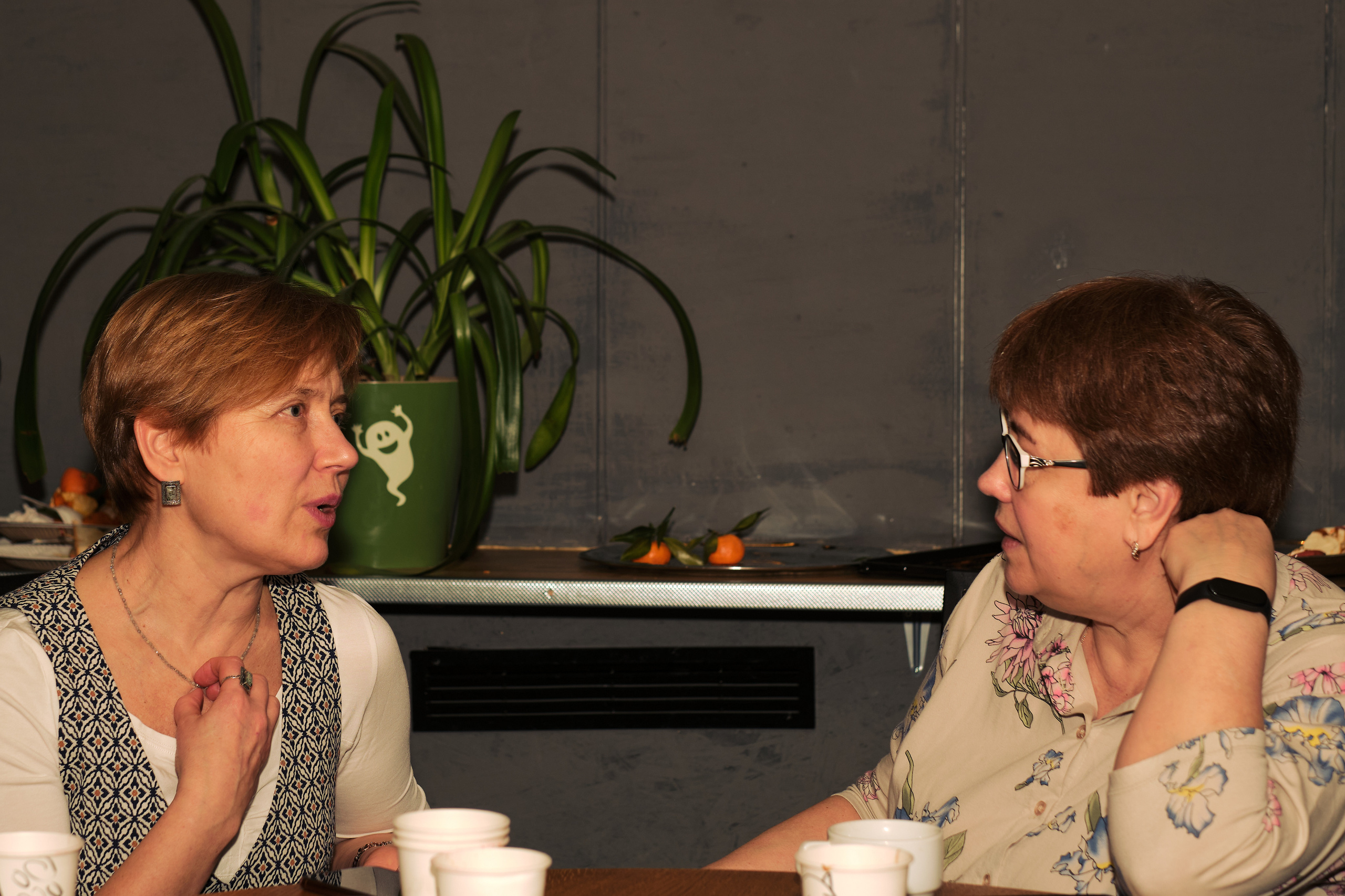 Pure fun party. Zaoksky.Photo Санкт-Петербург