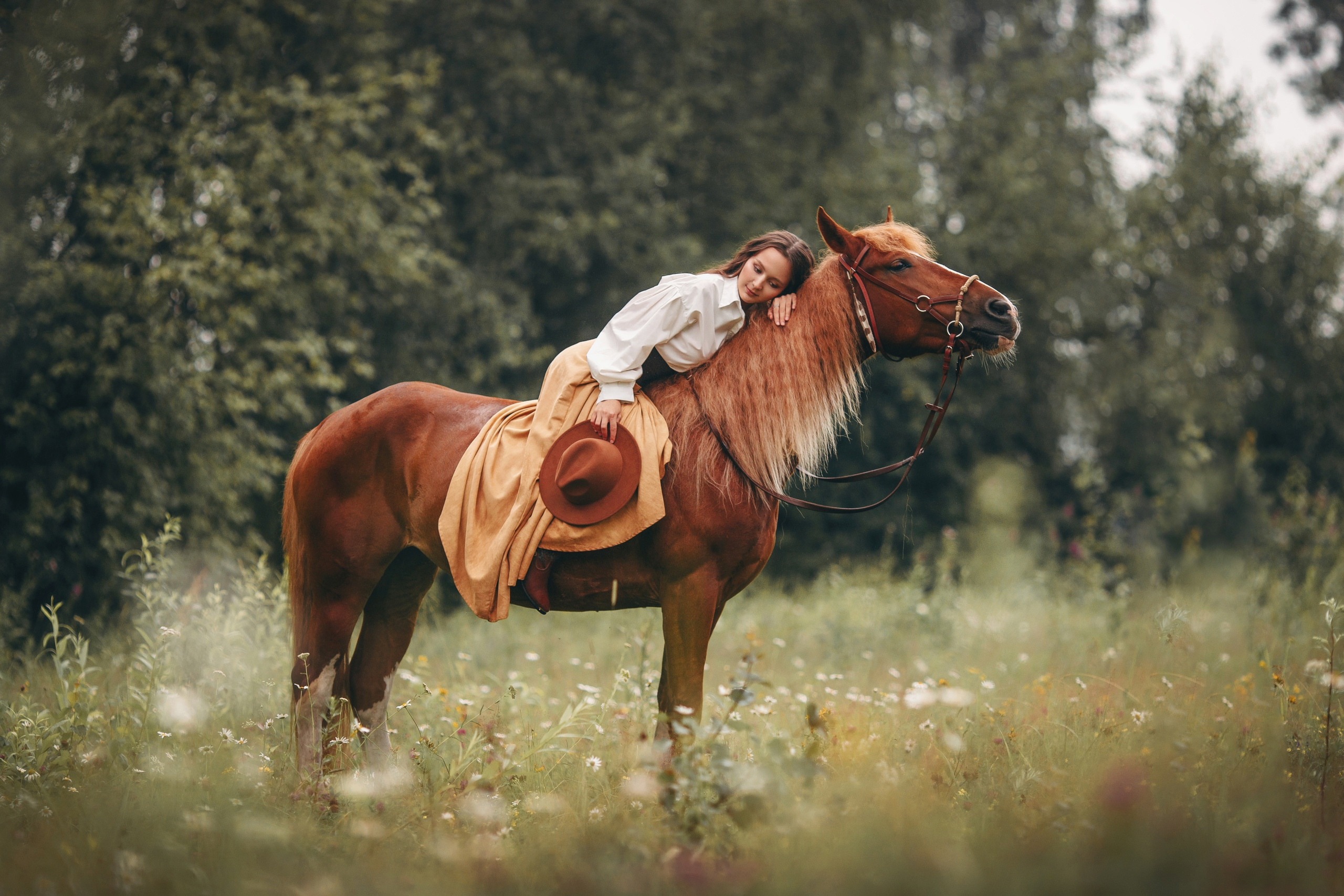 WESTERN. Анна Молчанова конный фотограф в Тюмени | фотосессии с лошадьми Тюмень