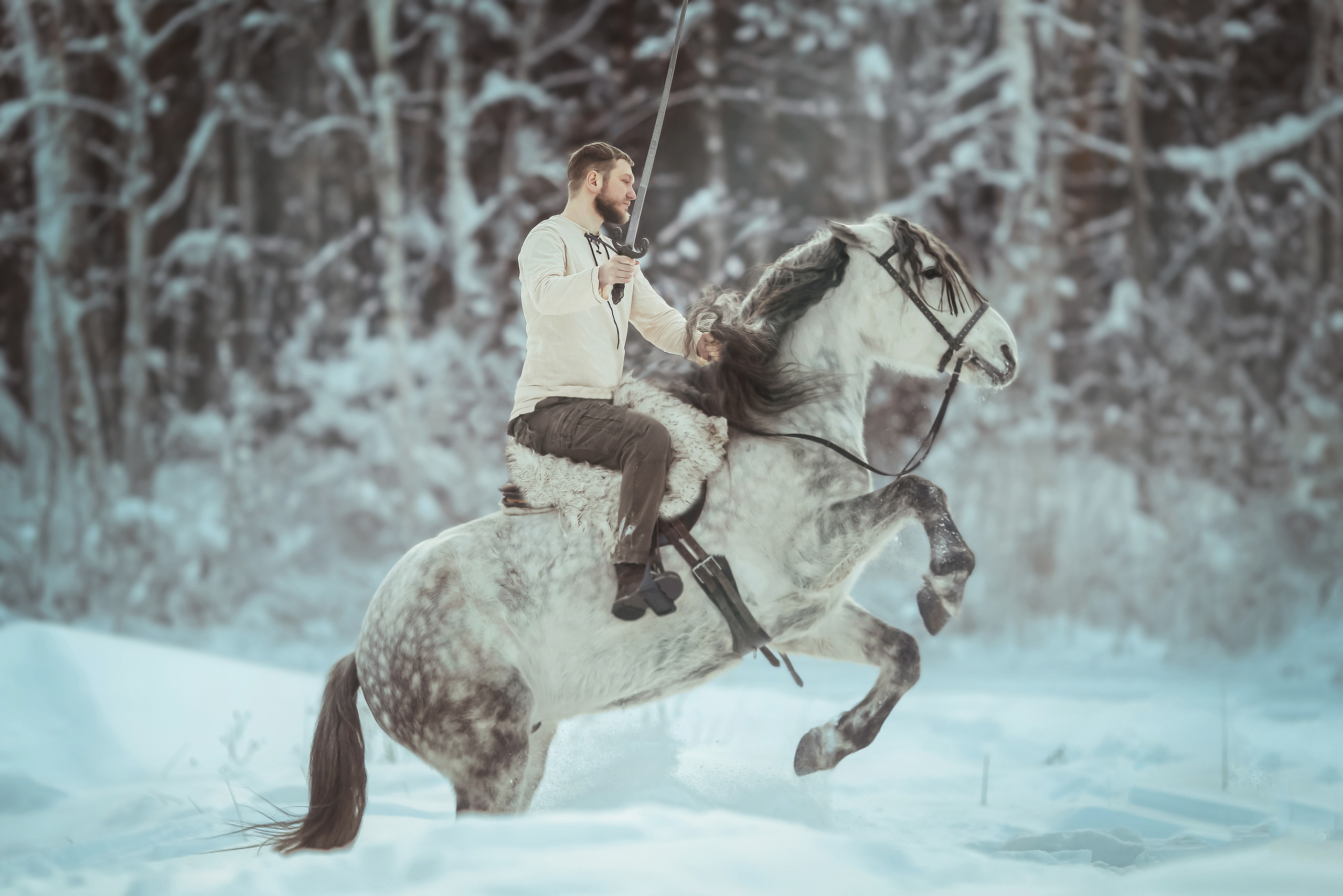 Vikings. Анна Молчанова конный фотограф в Тюмени | фотосессии с лошадьми Тюмень