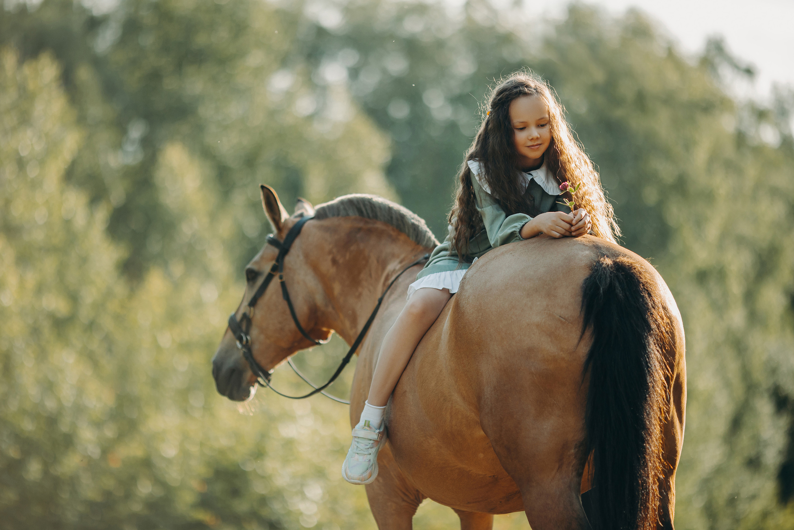 Детские и семейные. Анна Молчанова конный фотограф в Тюмени | фотосессии с лошадьми Тюмень