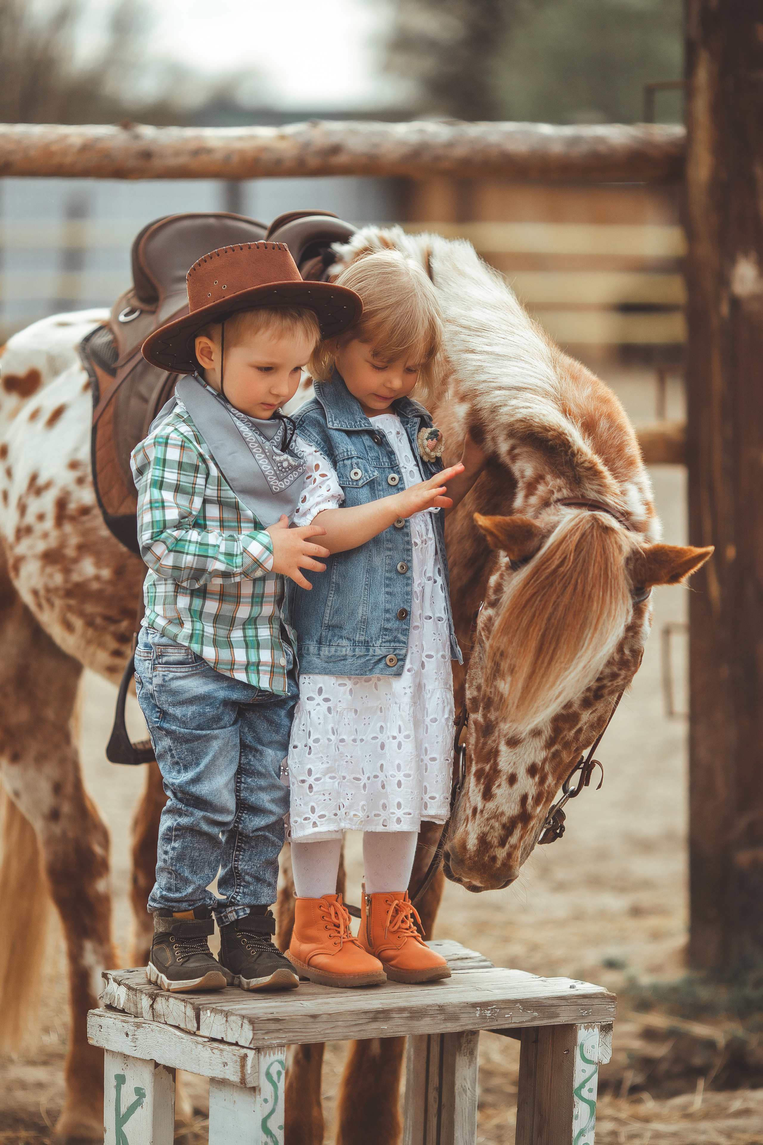 Детские и семейные. Анна Молчанова конный фотограф в Тюмени | фотосессии с лошадьми Тюмень
