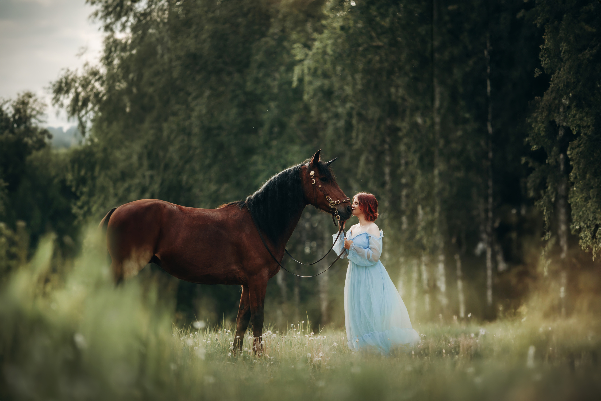 Сказочные. Анна Молчанова конный фотограф в Тюмени | фотосессии с лошадьми Тюмень