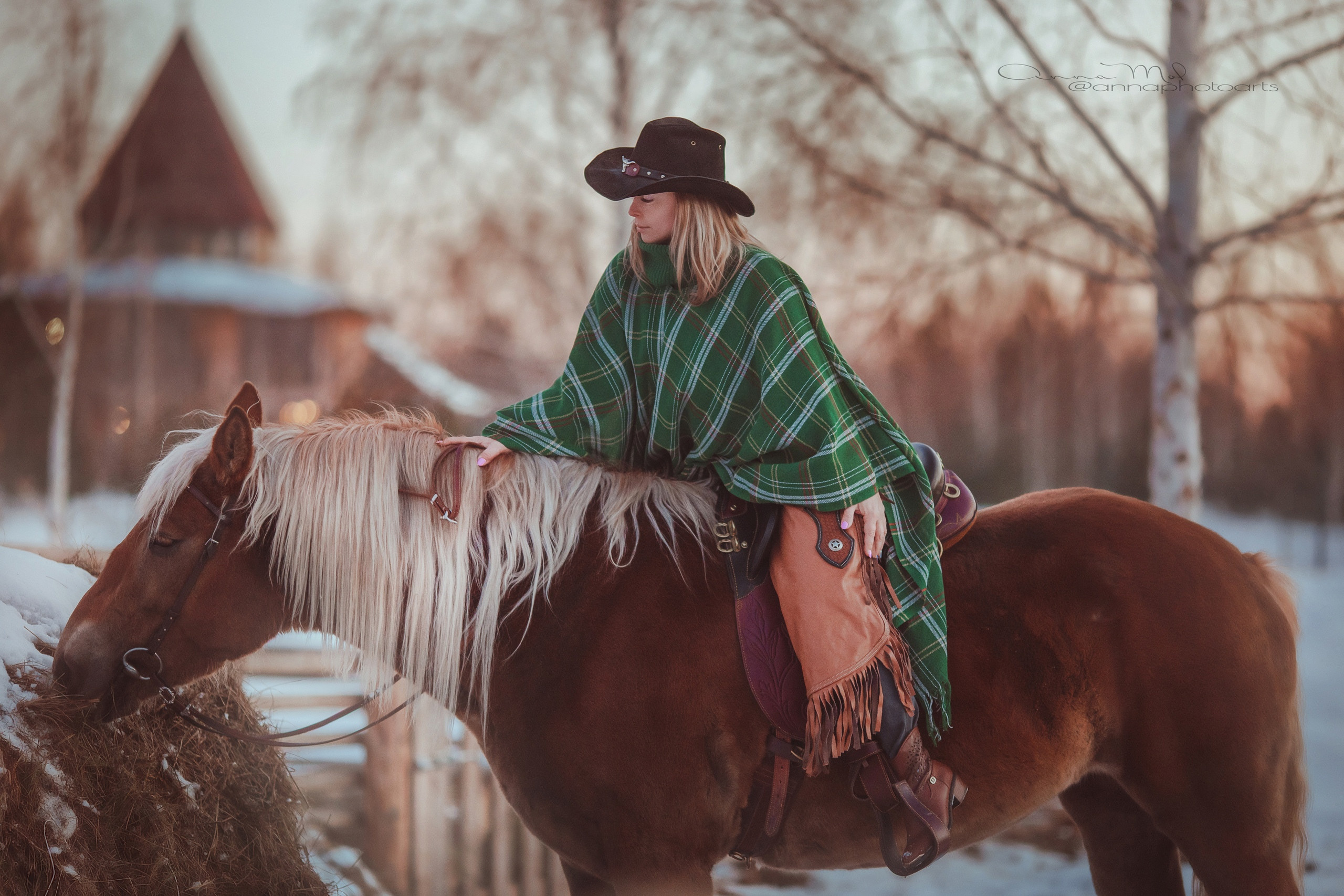WESTERN. Анна Молчанова конный фотограф в Тюмени | фотосессии с лошадьми Тюмень