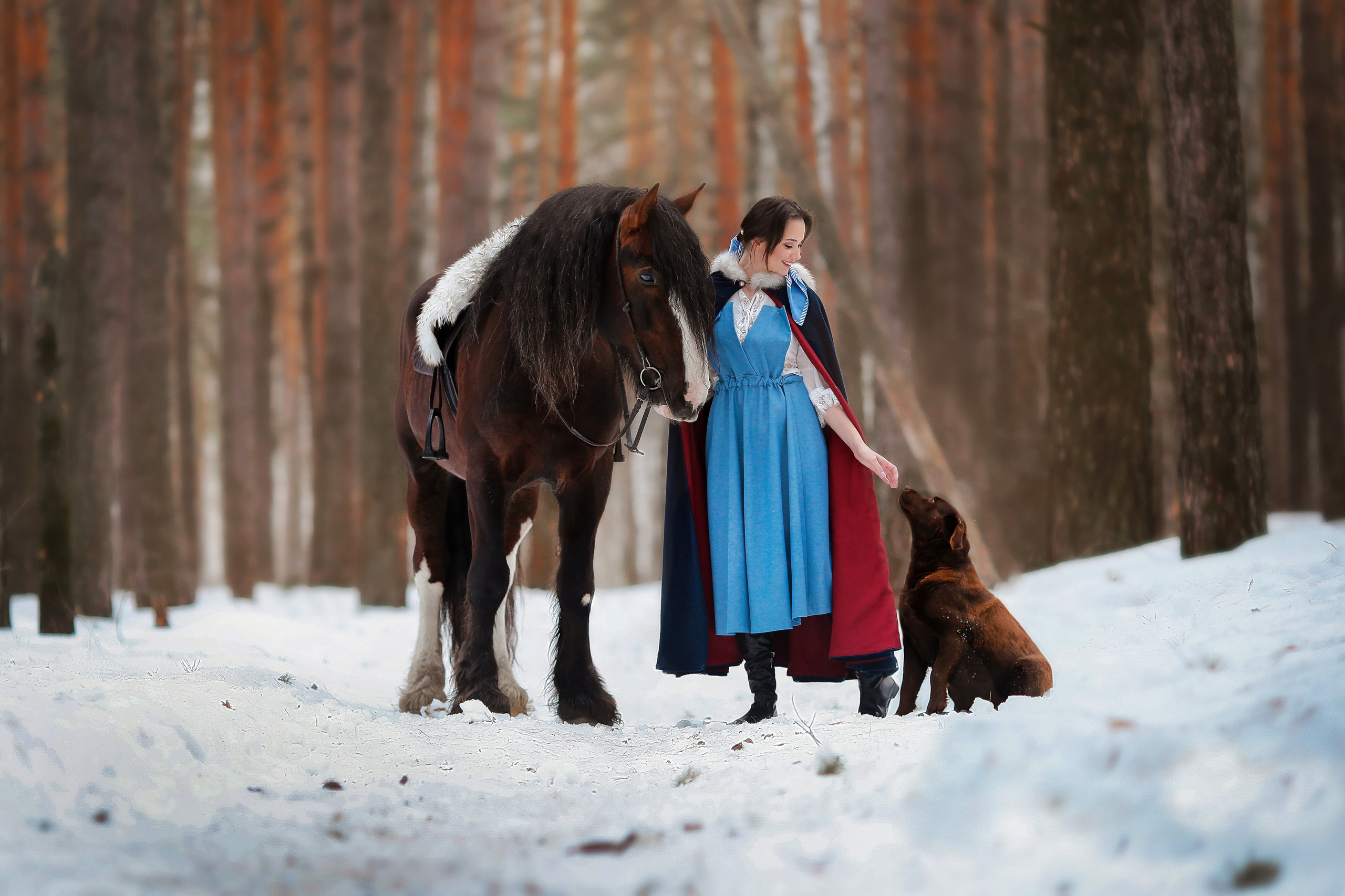 Сказочные. Анна Молчанова конный фотограф в Тюмени | фотосессии с лошадьми Тюмень