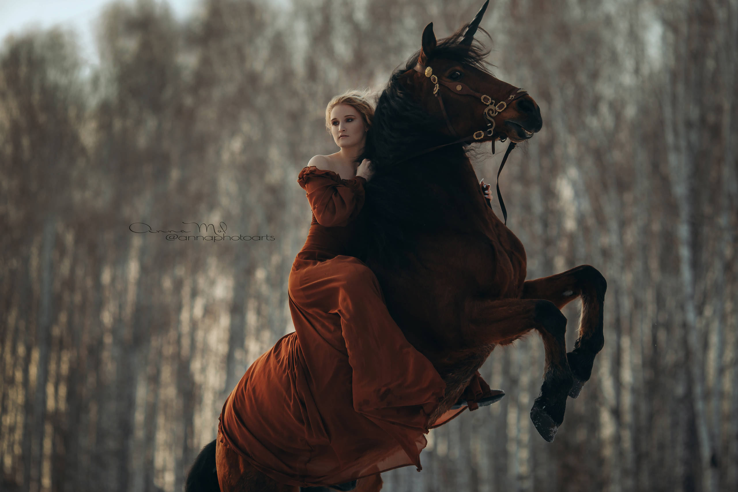 Сказочные. Анна Молчанова конный фотограф в Тюмени | фотосессии с лошадьми Тюмень