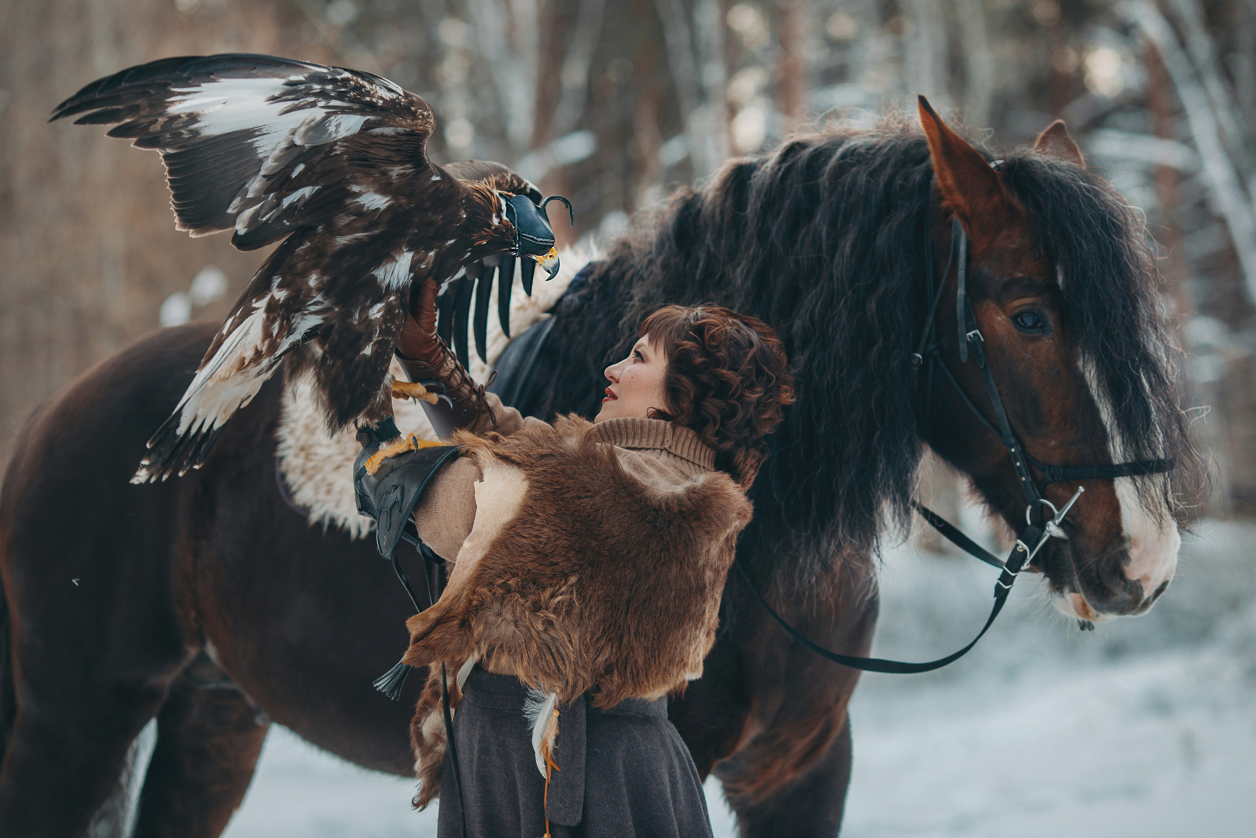 Vikings. Анна Молчанова конный фотограф в Тюмени | фотосессии с лошадьми Тюмень