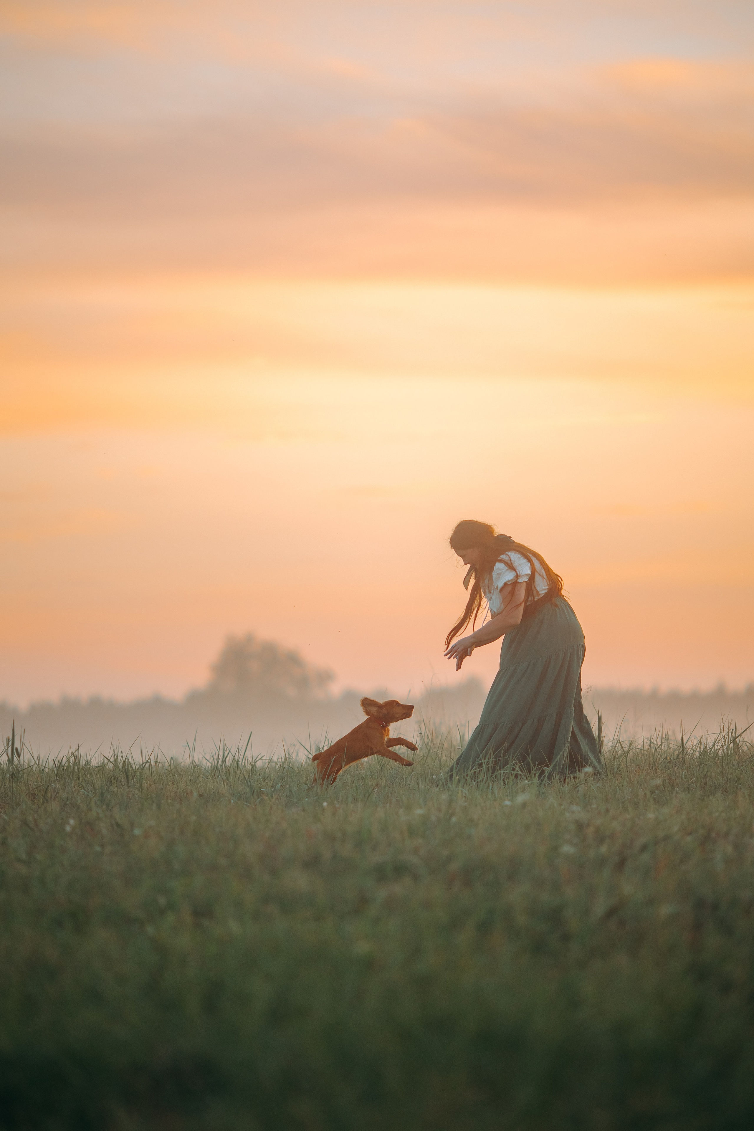 С питомцами ♡. Анна Молчанова конный фотограф в Тюмени | фотосессии с лошадьми Тюмень