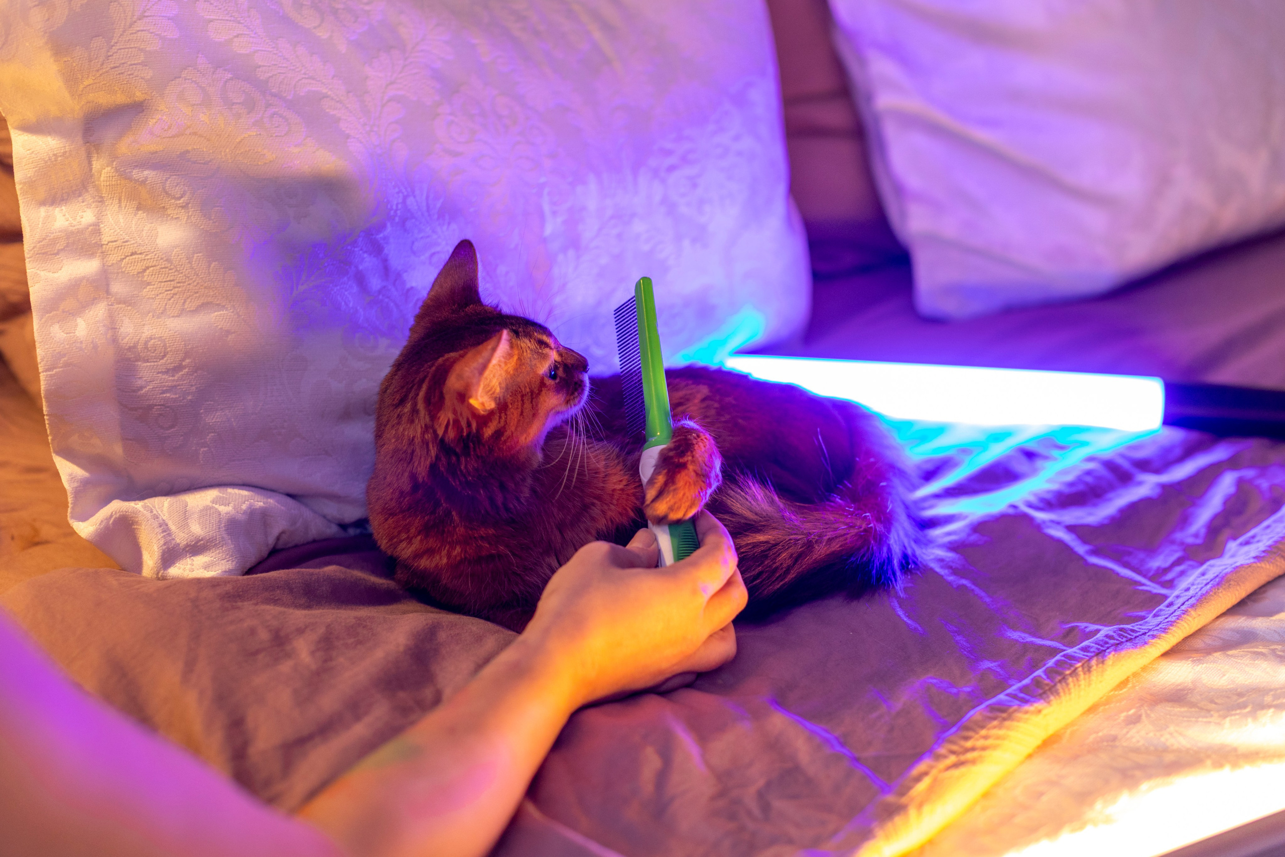 Сомали. Art my Pho