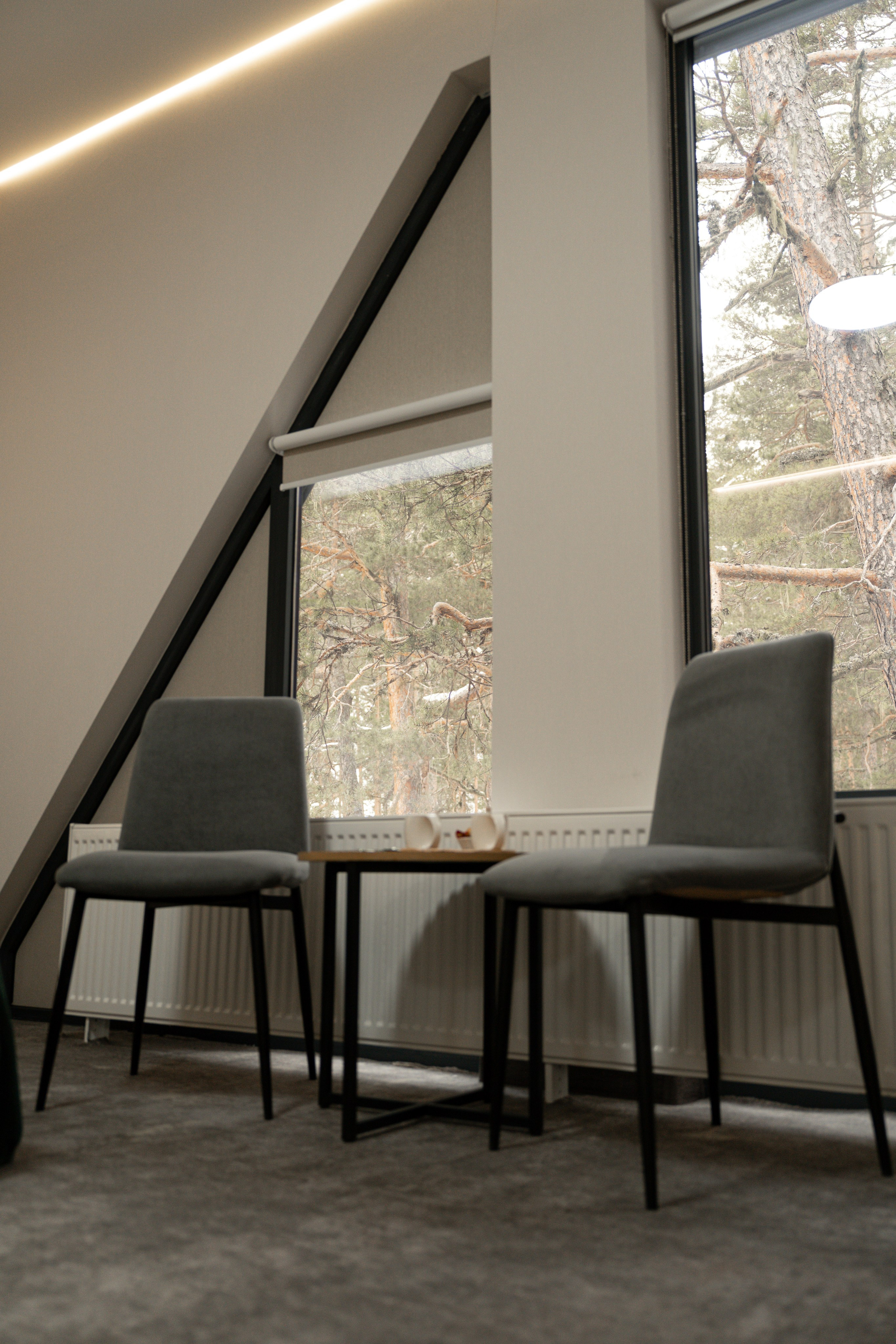 Эклер. Фотограф и видеограф Елена Хмелевская