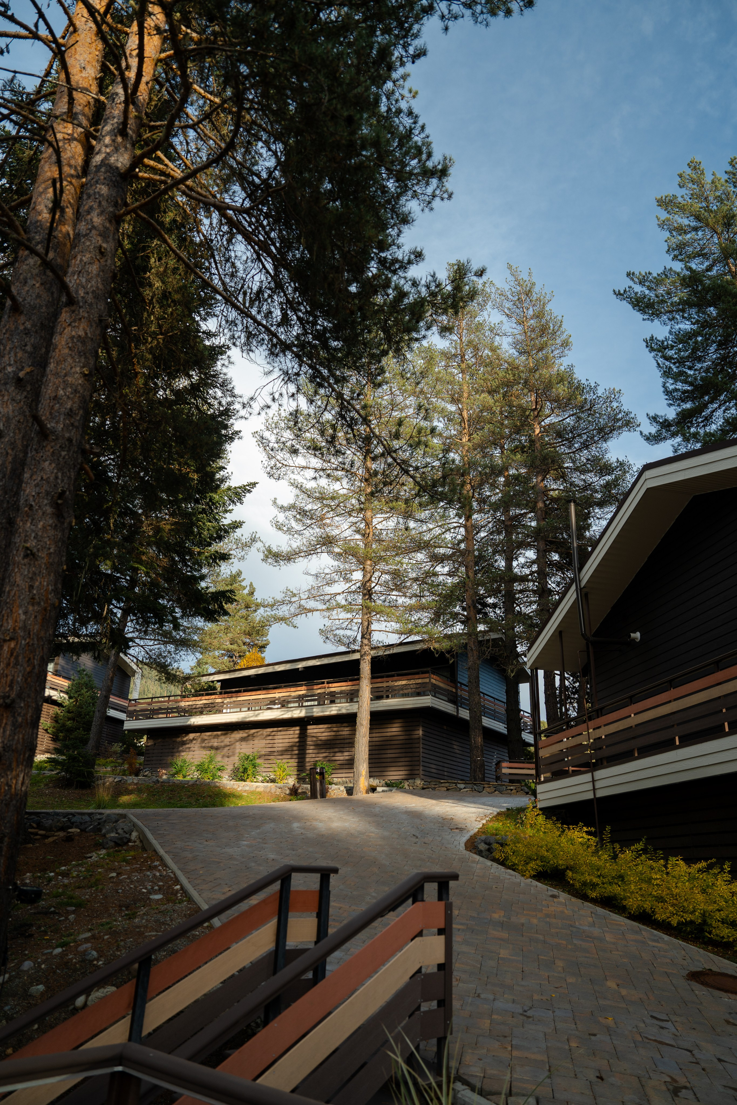 Mairi*. Фотограф и видеограф Елена Хмелевская