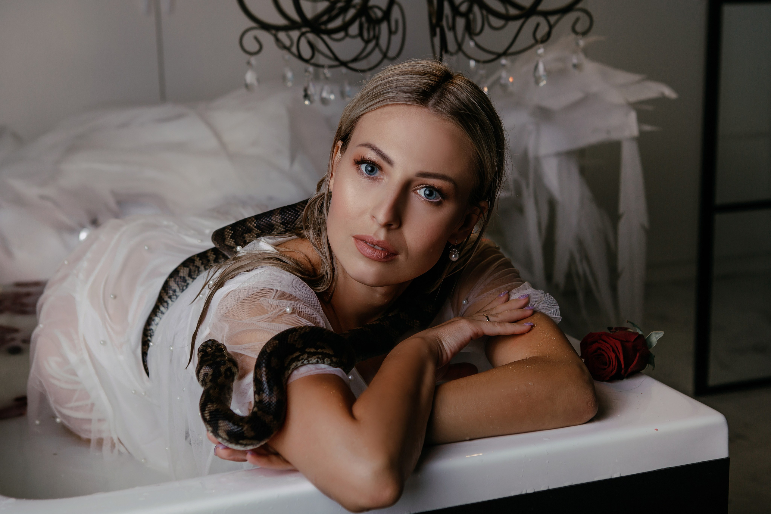 Змеи. Фотограф Новороссийск