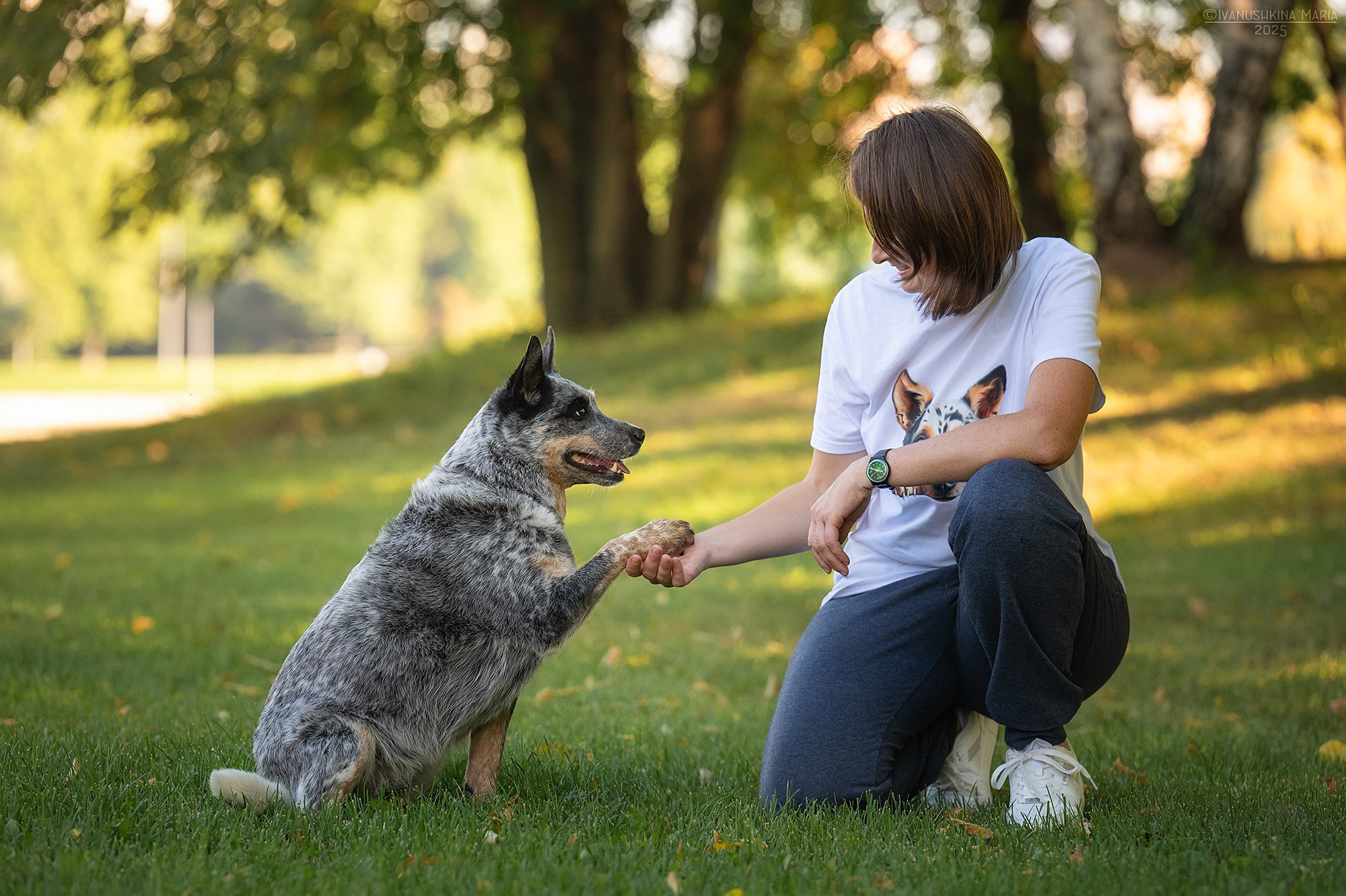 Фотосессия с собакой. Фотограф собак в Москве и Московской области Иванушкина Мария