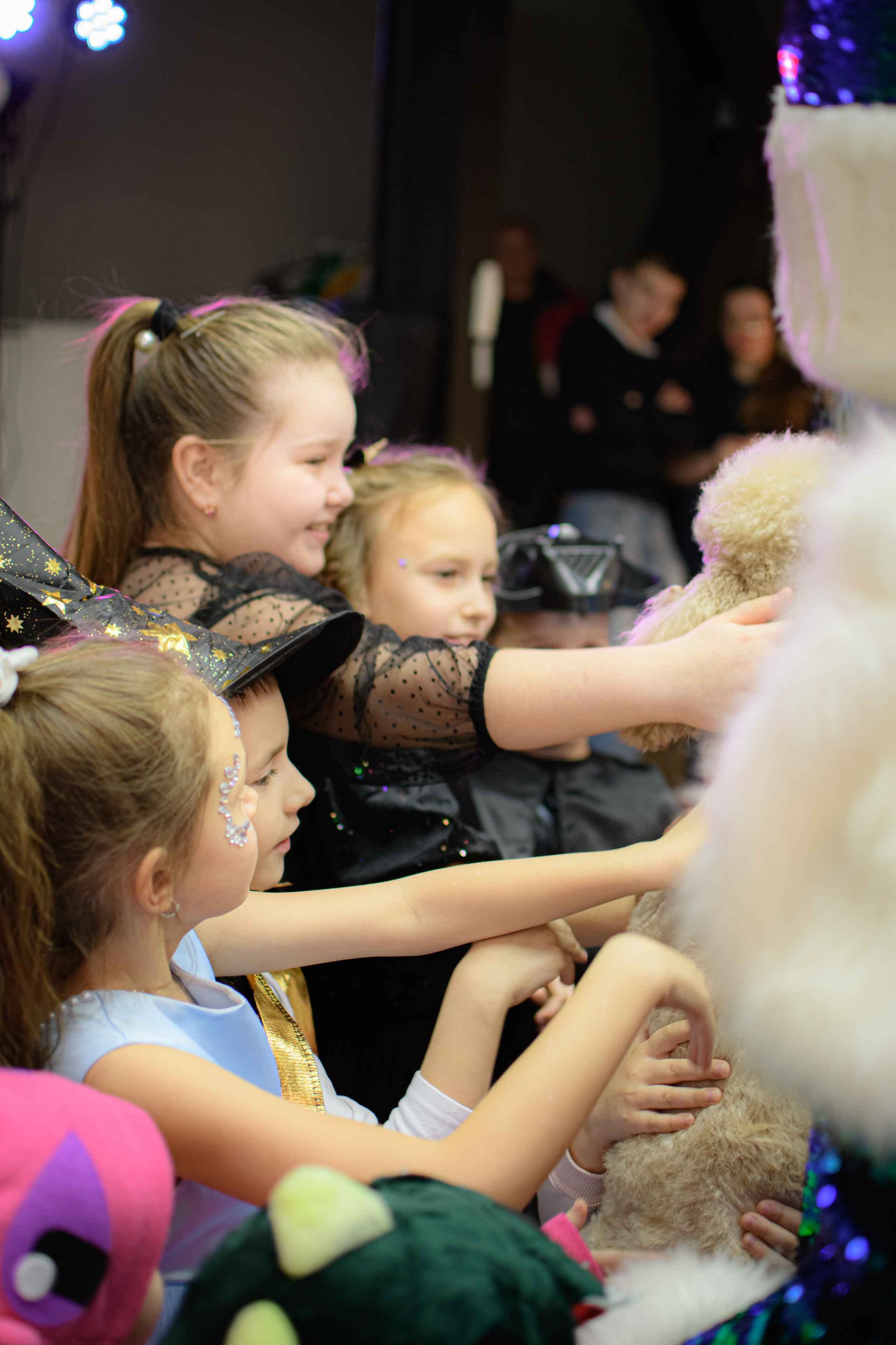 HAPPY NEW YEAR. Photokarish